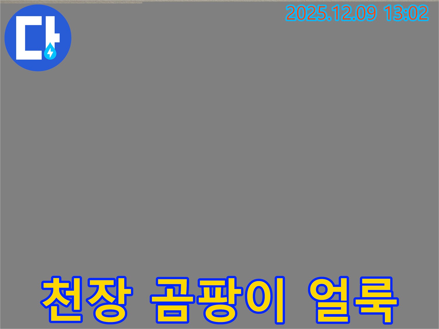 포천시 영중면 성동리 천장 누수 - 곰팡이 얼룩으로 뒤덮인 천장, 긴급하게 해결해 드립니다.