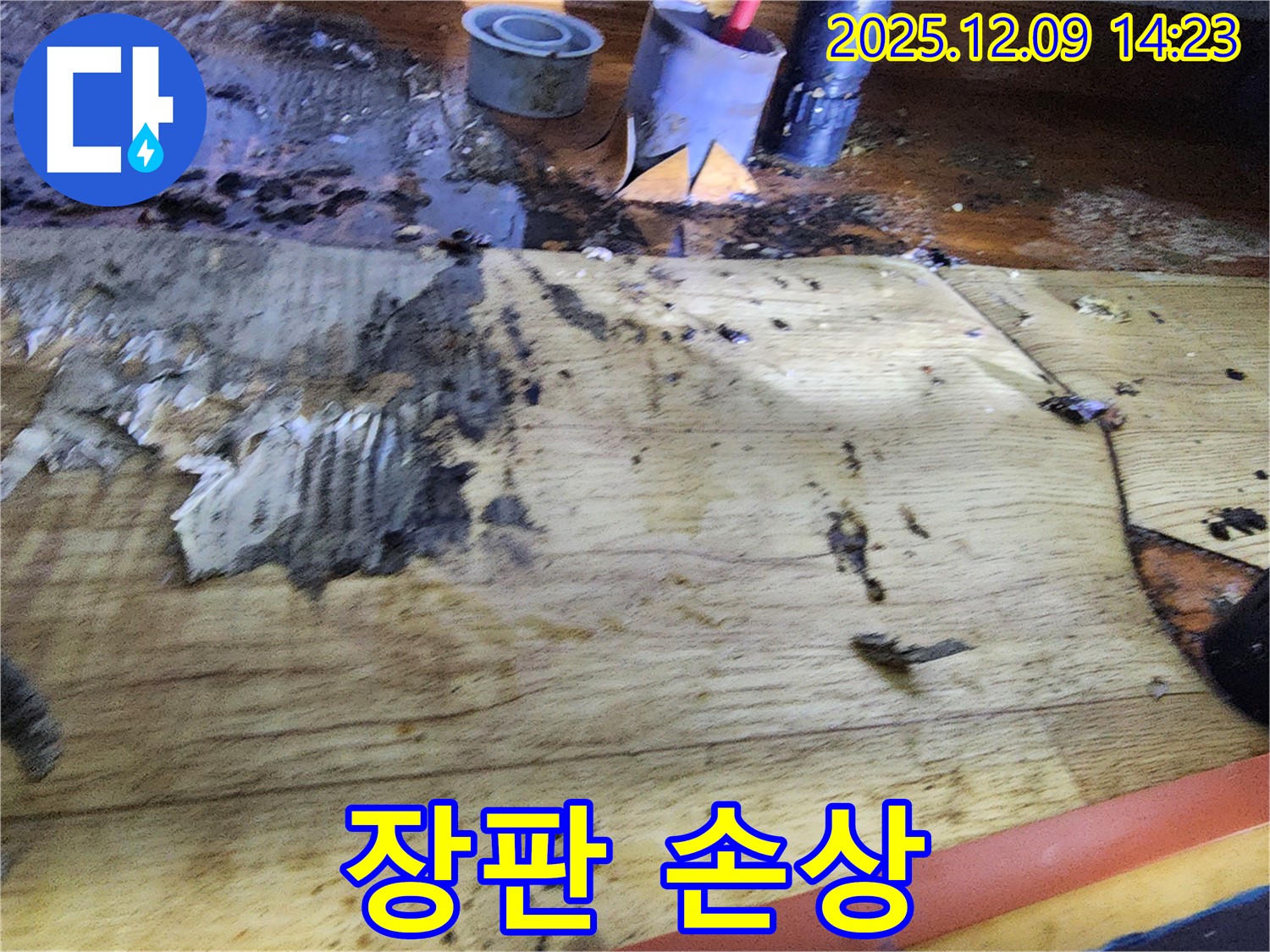 장판 손상 - 누수로 인해 장판이 찢어지고 변색된 모습입니다.