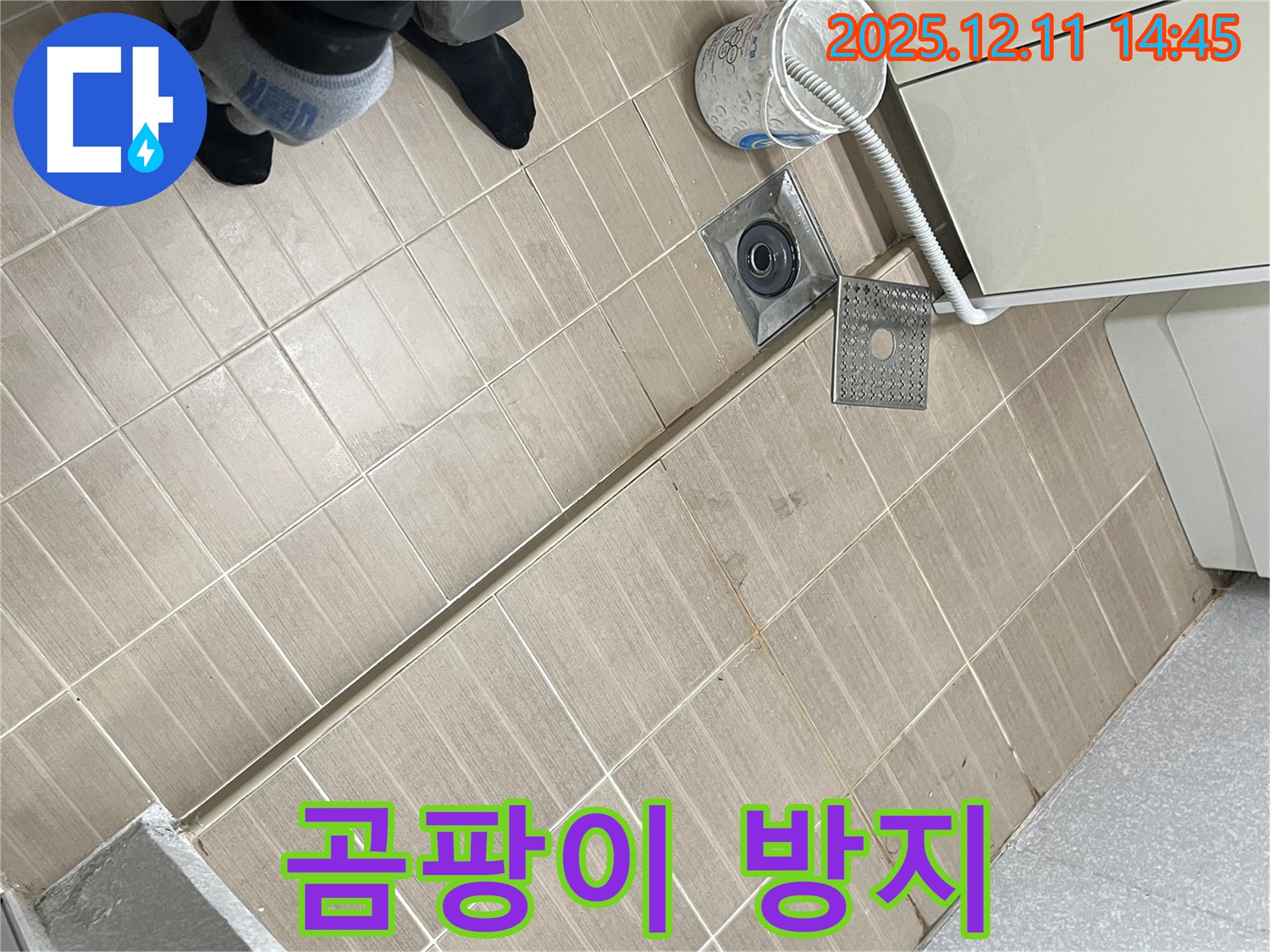 마포구 성산동 - 욕실 배수구 주변 습기 - 곰팡이 방지 시공으로 쾌적하게!