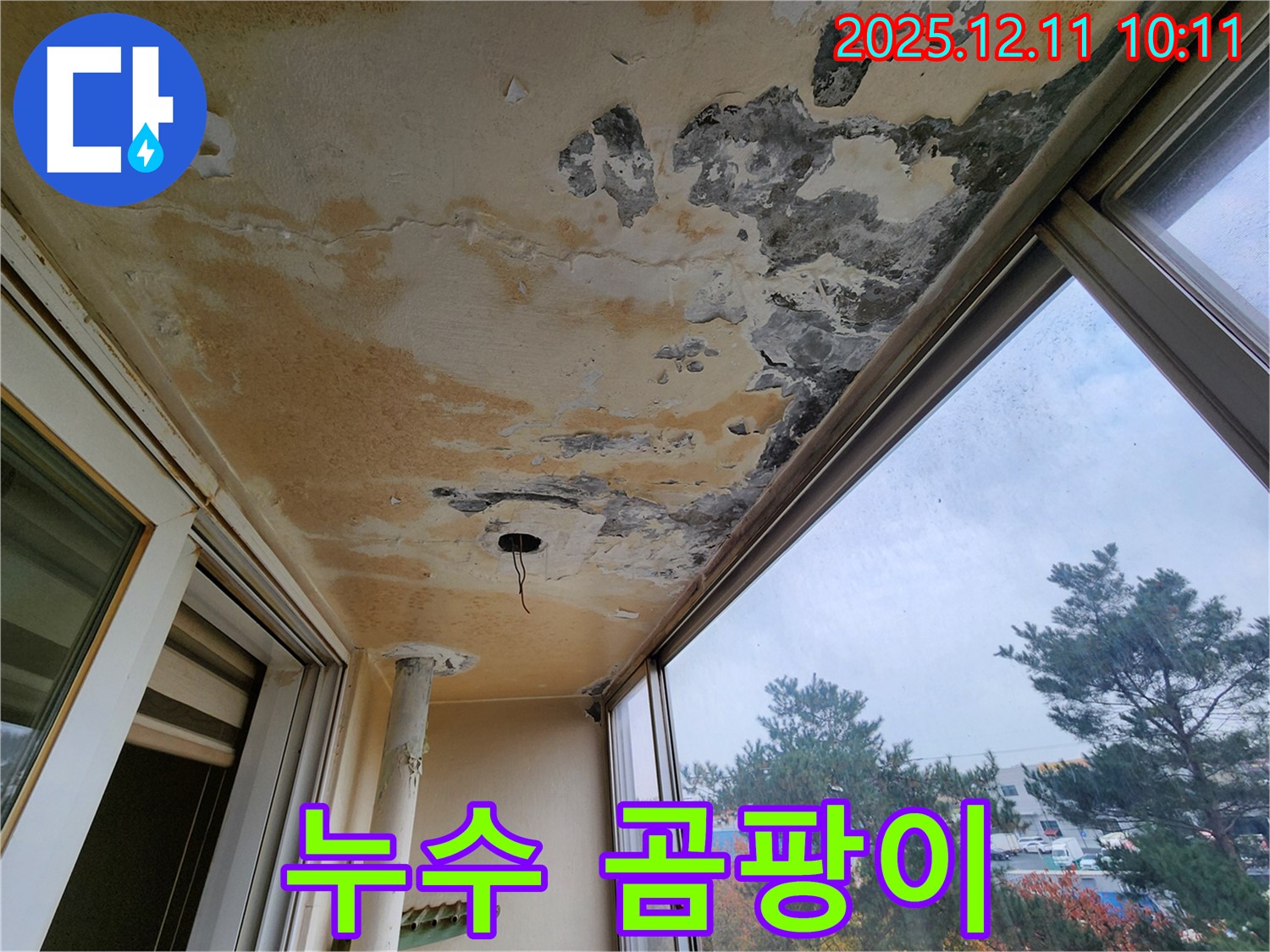 누수 곰팡이 - 누수와 함께 발생한 곰팡이