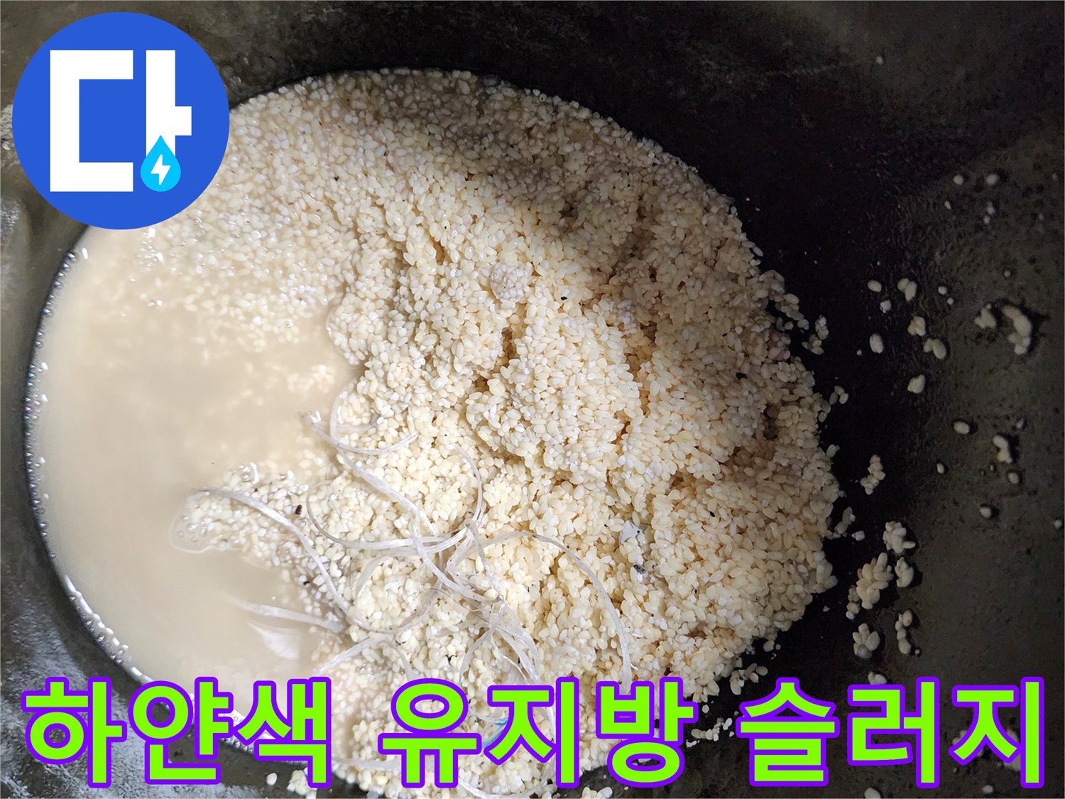 배관 청소 후 수집된 하얀 기름 덩어리와 오염된 물