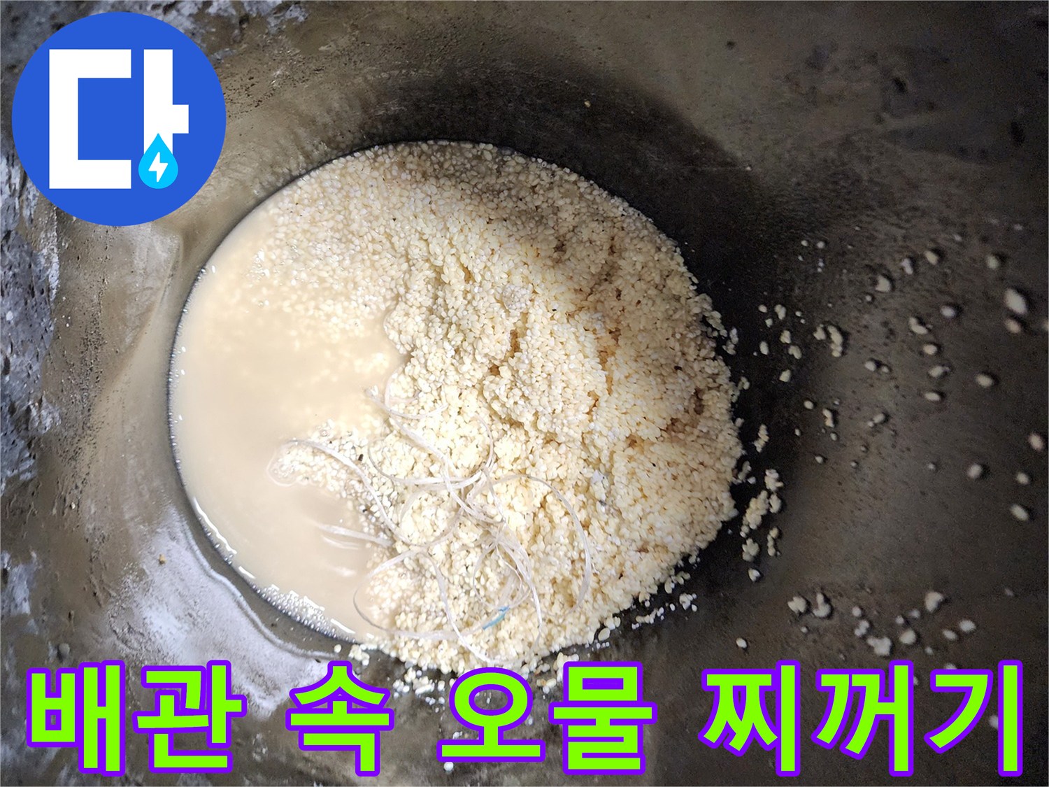 싱크대-배수관에서-추출된-탁한-오물과-슬러지