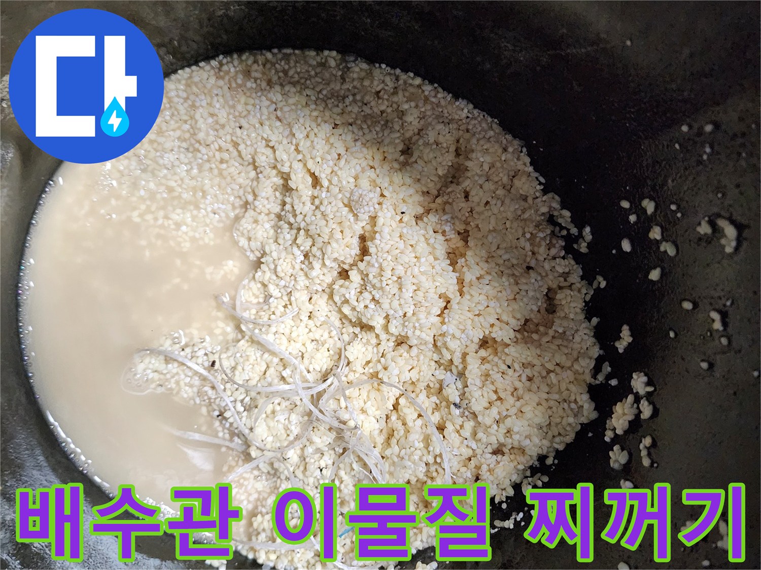 싱크대 배수관에서 추출된 하얀색 유지방 슬러지와 탁한 오수