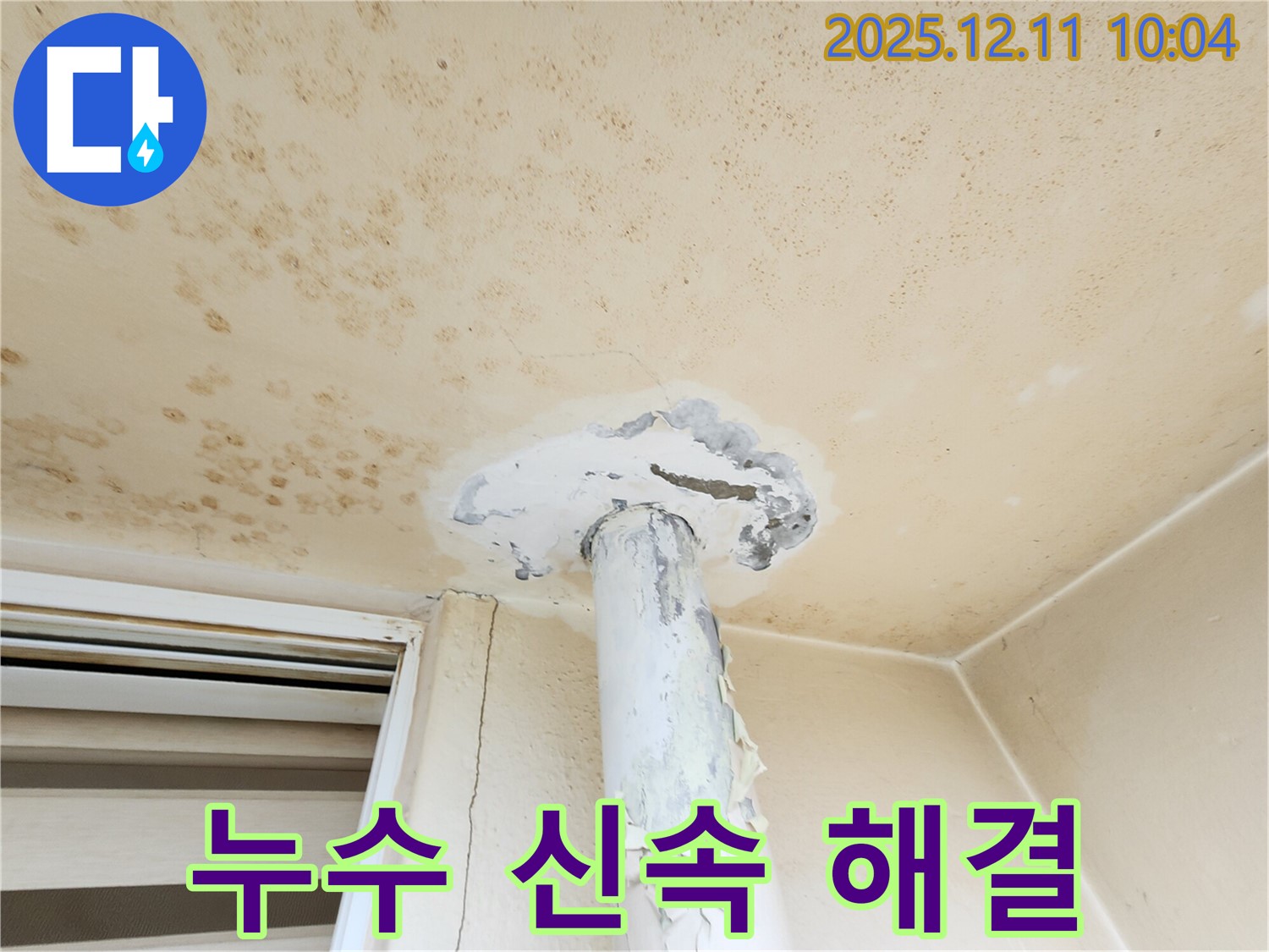 천장 누수 - 시간과의 싸움! 신속 해결 작전 개시!