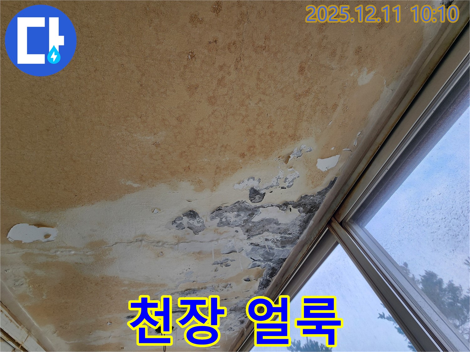 천장에 생긴 누수 얼룩 - 젖은 자국과 함께 변색된 천장