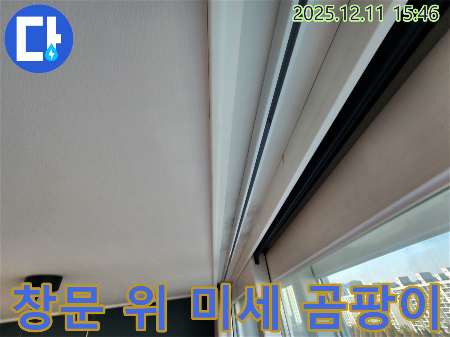 남궁리 창문 위 아주 미세 곰팡이 - 완벽 방수 시공 준비 완료
