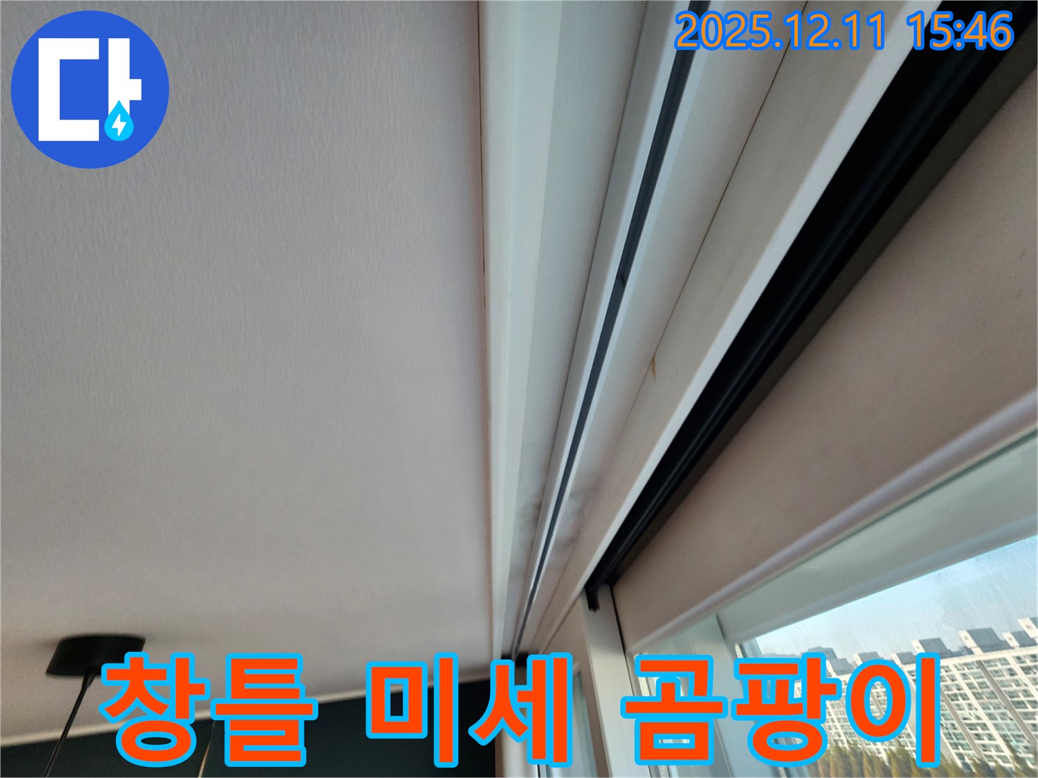 양지말 창틀 상단 미세 곰팡이 - 초기 점검으로 누수 문제 해결