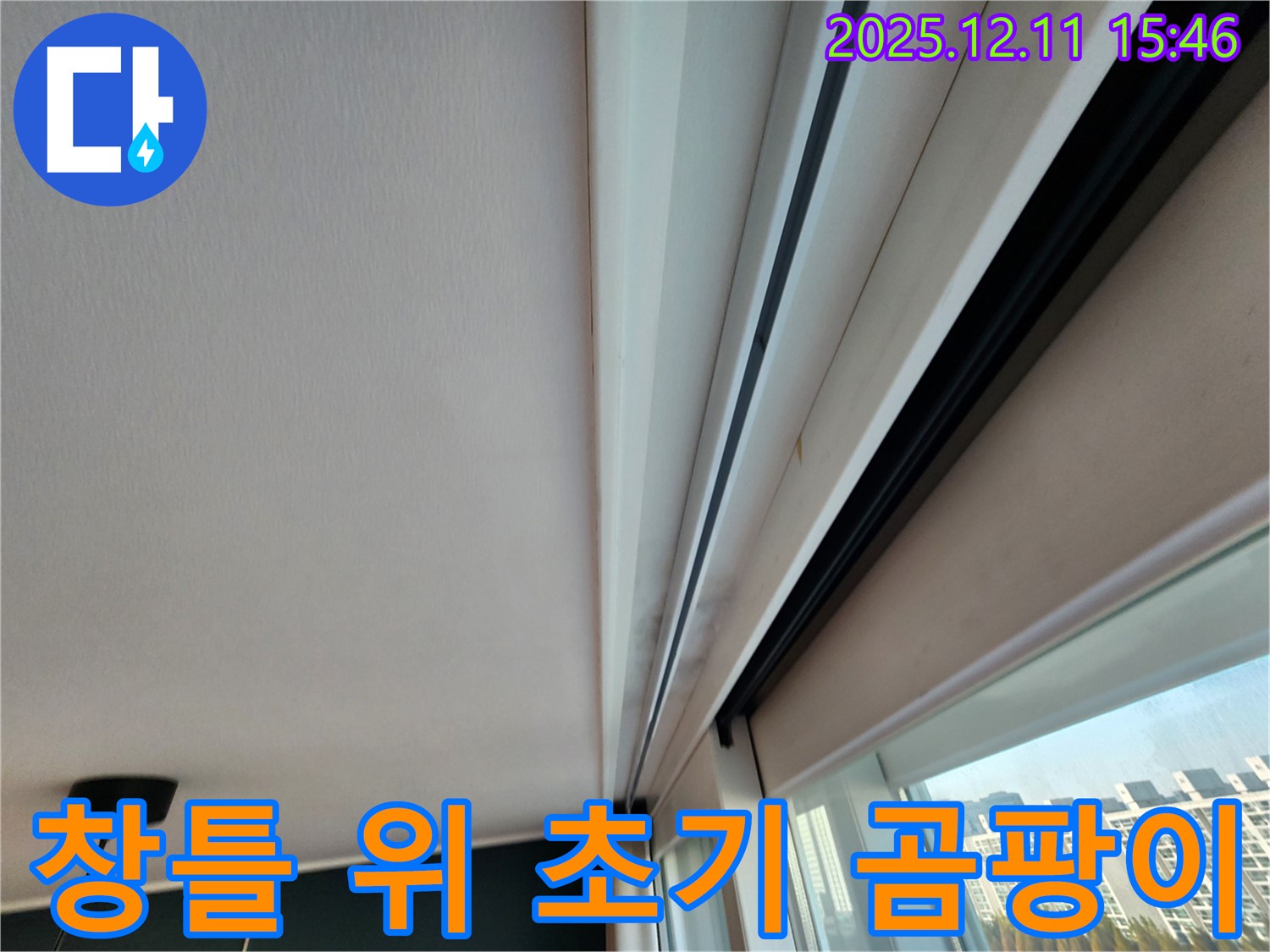 포천 영중면 양지말 창틀 위 아주 초기 곰팡이 - 완벽 해결을 약속드립니다
