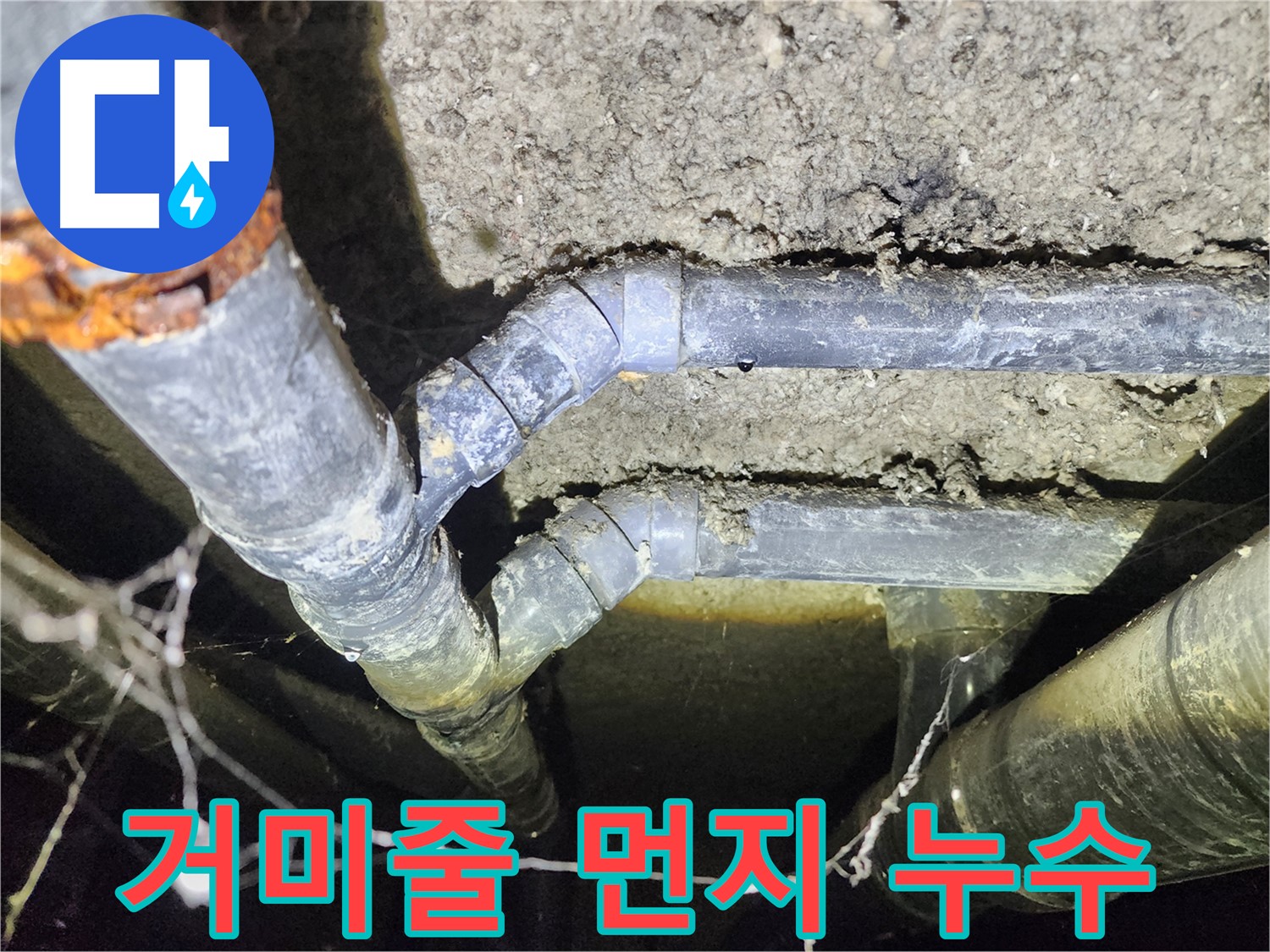성북구 보문동 아남아파트 지하실 천장 배관 누수 현장-거미줄과 먼지가 쌓인 모습
