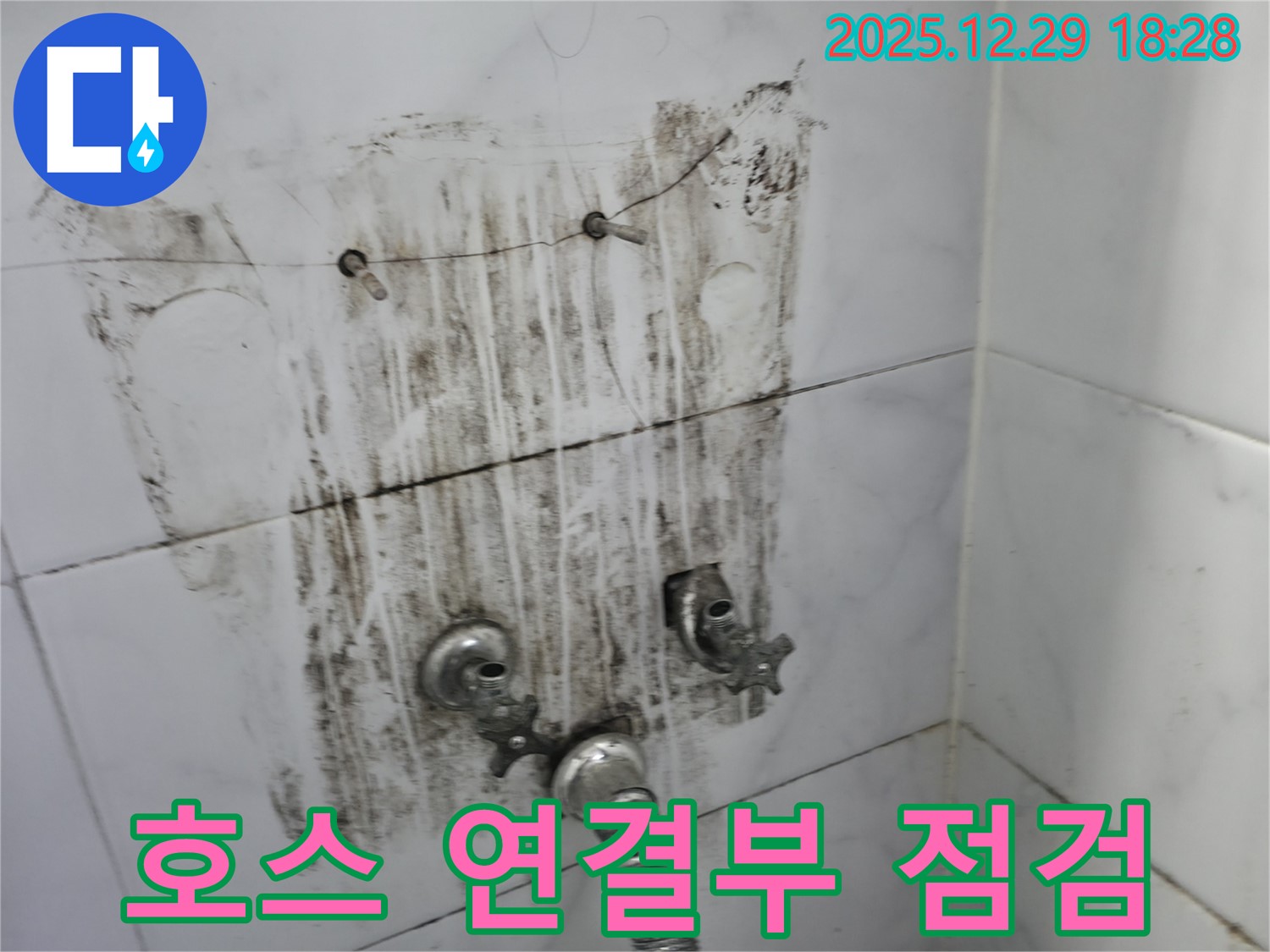 성북구 보문동 아남아파트 - 샤워기 호스 연결부의 누수 여부를 꼼꼼하게 점검하고 있습니다.