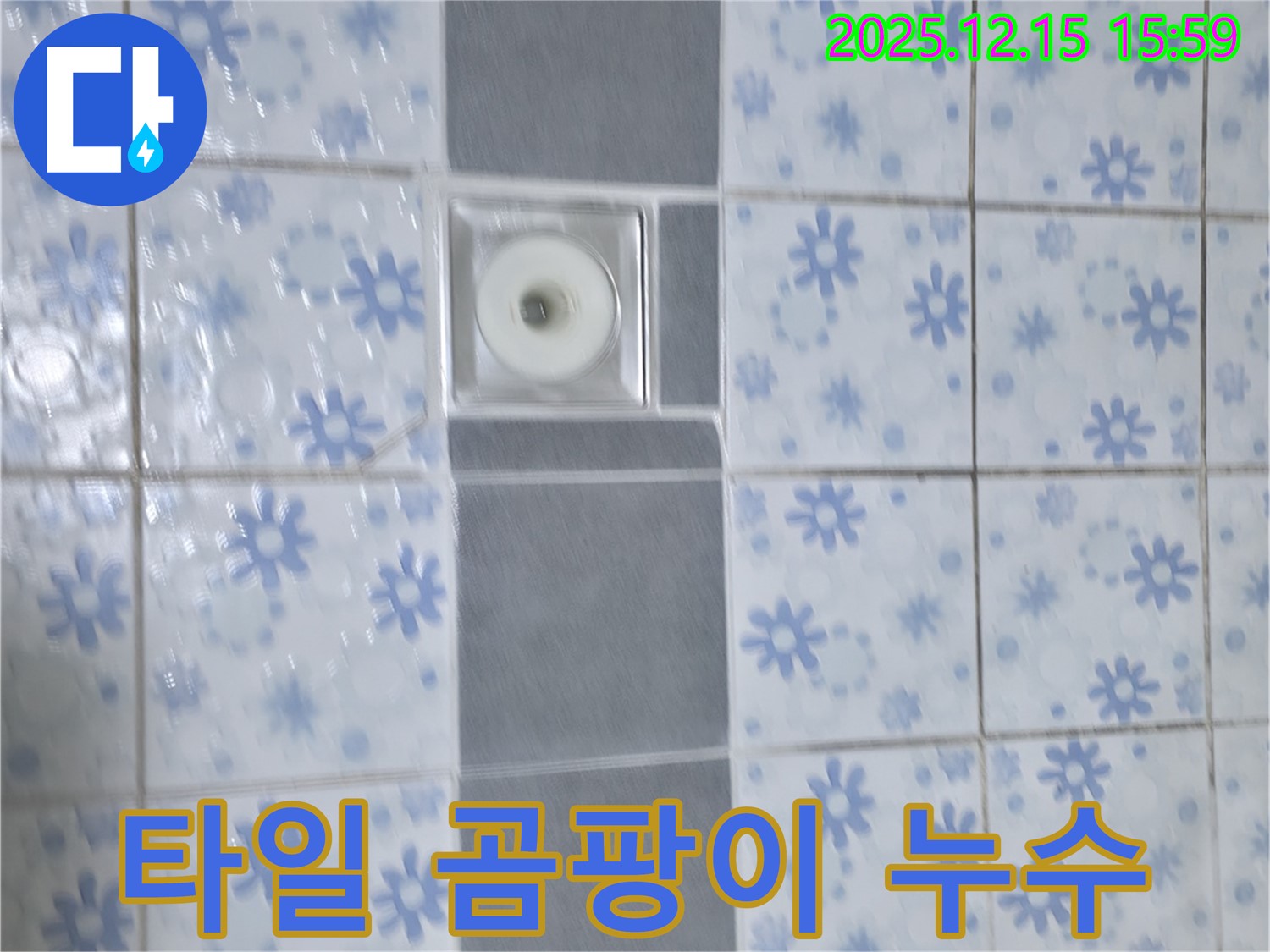 수원 권선구 곡반정동 욕실 타일 곰팡이 - 곰팡이가 핀 타일 주변의 누수 문제를 보여줍니다.