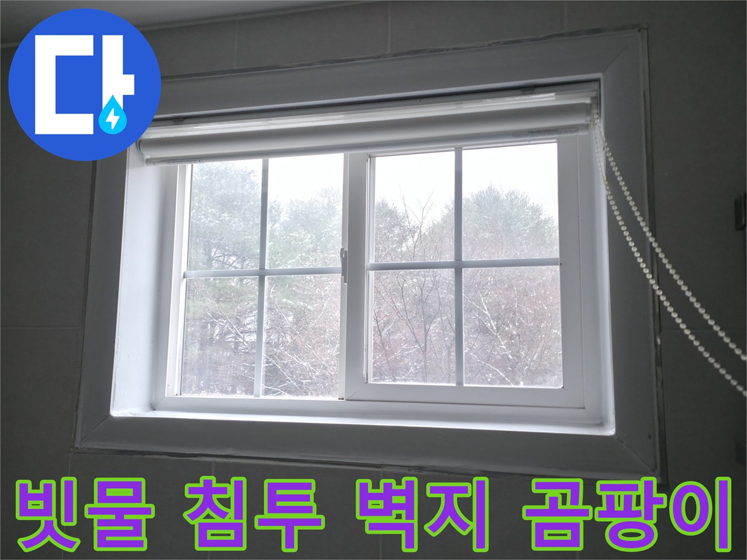 홍천 서면 팔봉강변길에서 빗물 침투로 인해 벽지에 곰팡이가 발생한 모습 - 누수 해결과 곰팡이 제거 시공이 필요합니다.