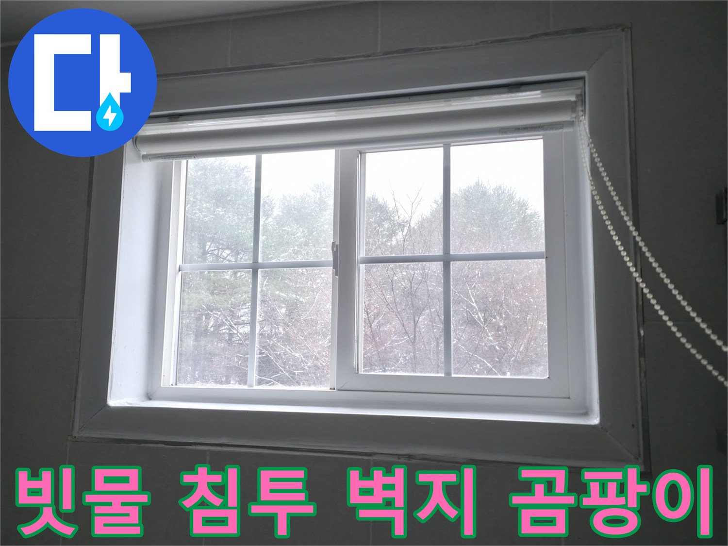 홍천 서면 팔봉강변길에서 빗물 침투로 인해 벽지에 곰팡이가 발생한 모습 - 누수 해결과 곰팡이 제거 시공이 필요합니다.