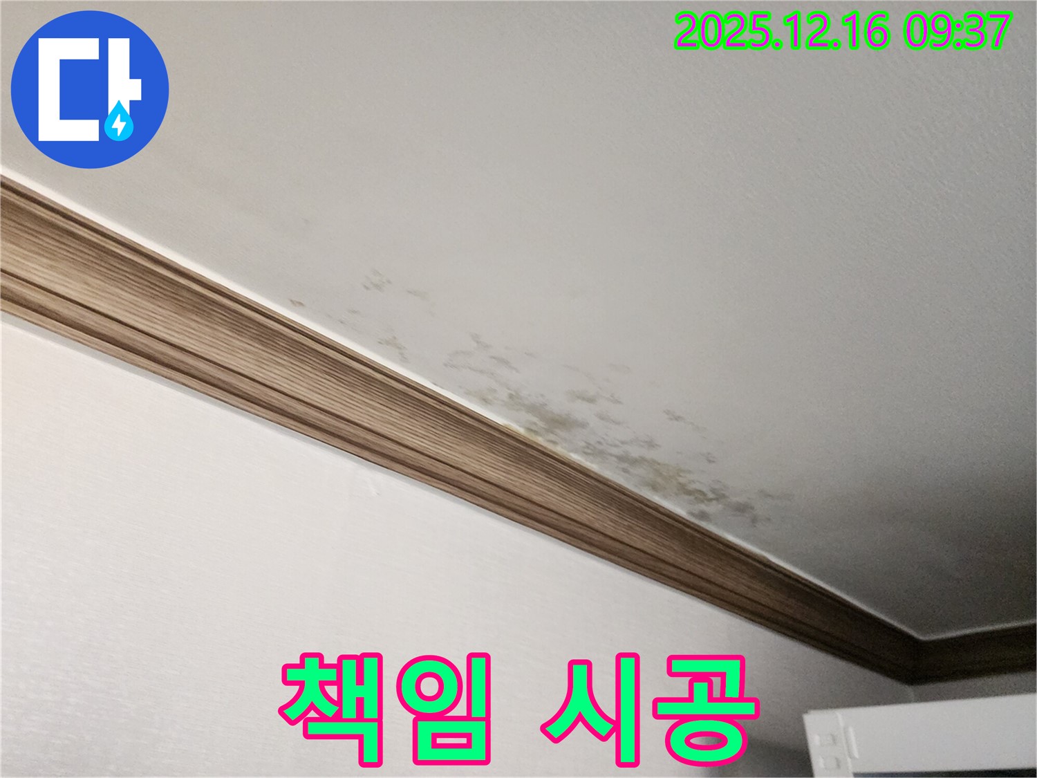 경기도 포천시 곰팡이 핀 천장 - 누수 원인 해결부터 곰팡이 제거까지 책임 시공