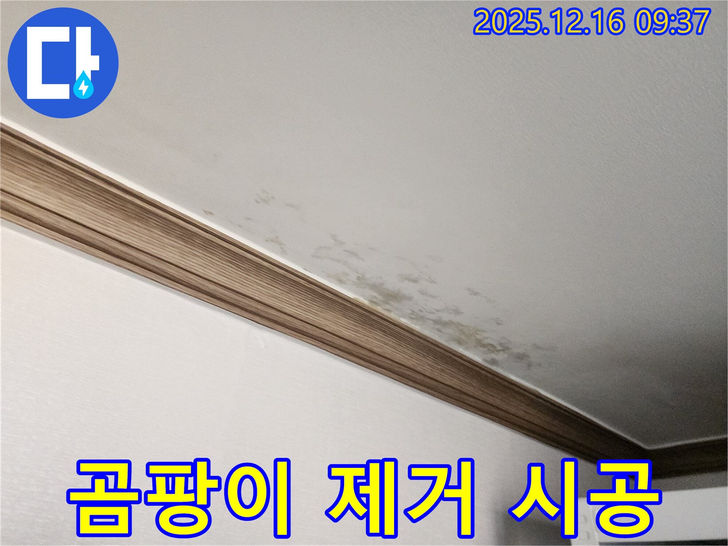 경기도 포천시 누수 - 곰팡이 핀 천장, 누수 해결 후 곰팡이 걱정 싹