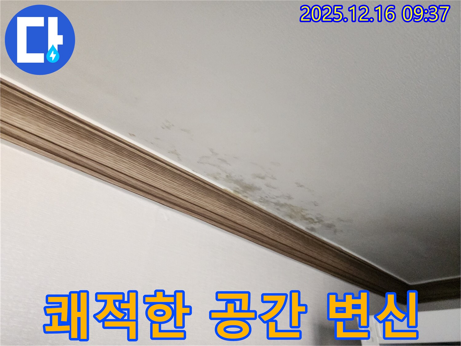 경기도 포천시 영북면 곰팡이 핀 천장 - 누수 해결 후 쾌적한 공간으로 변신