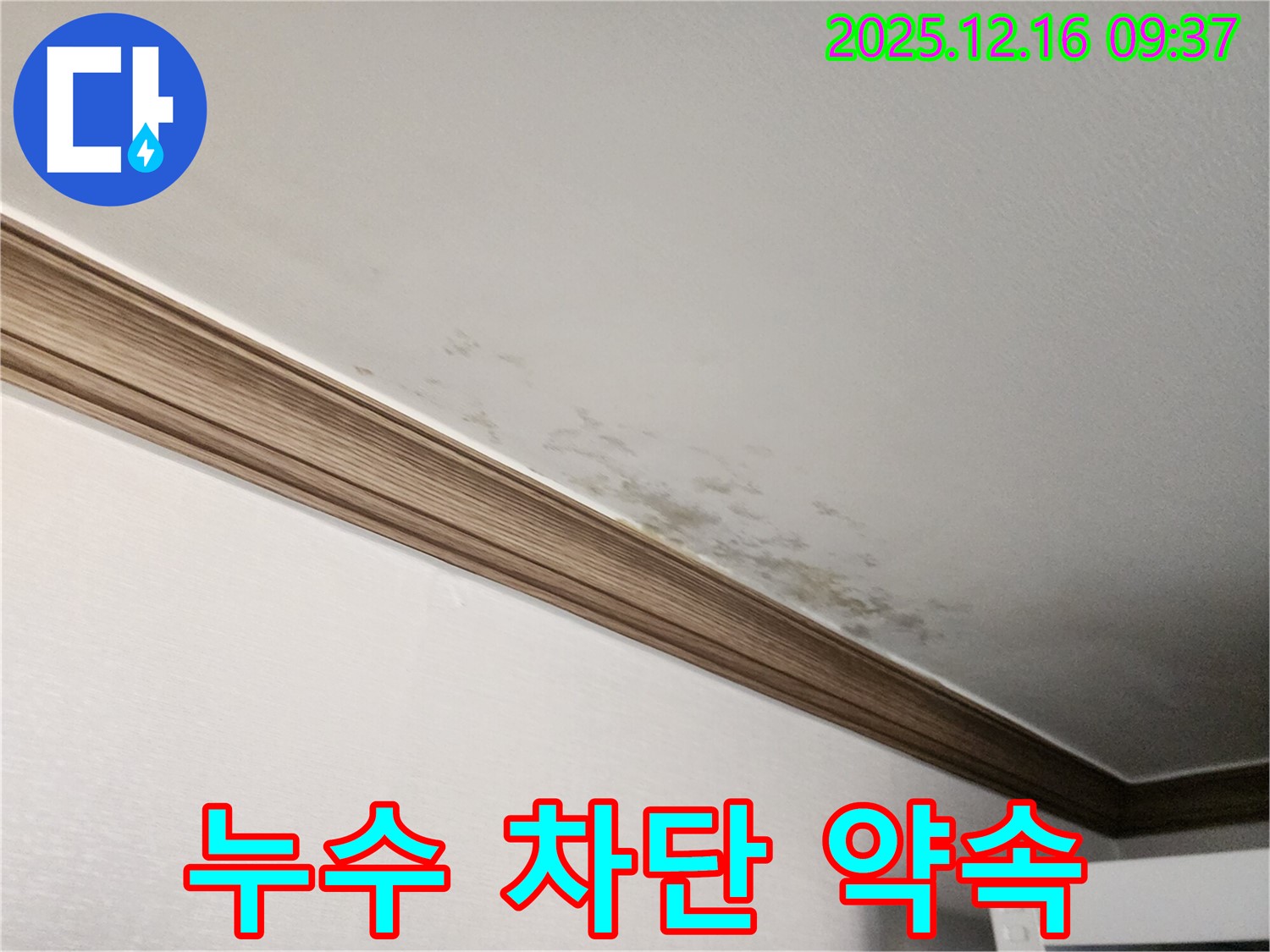 경기도 포천시 영북면 곰팡이 핀 천장 - 확실한 누수 차단과 곰팡이 제거 약속