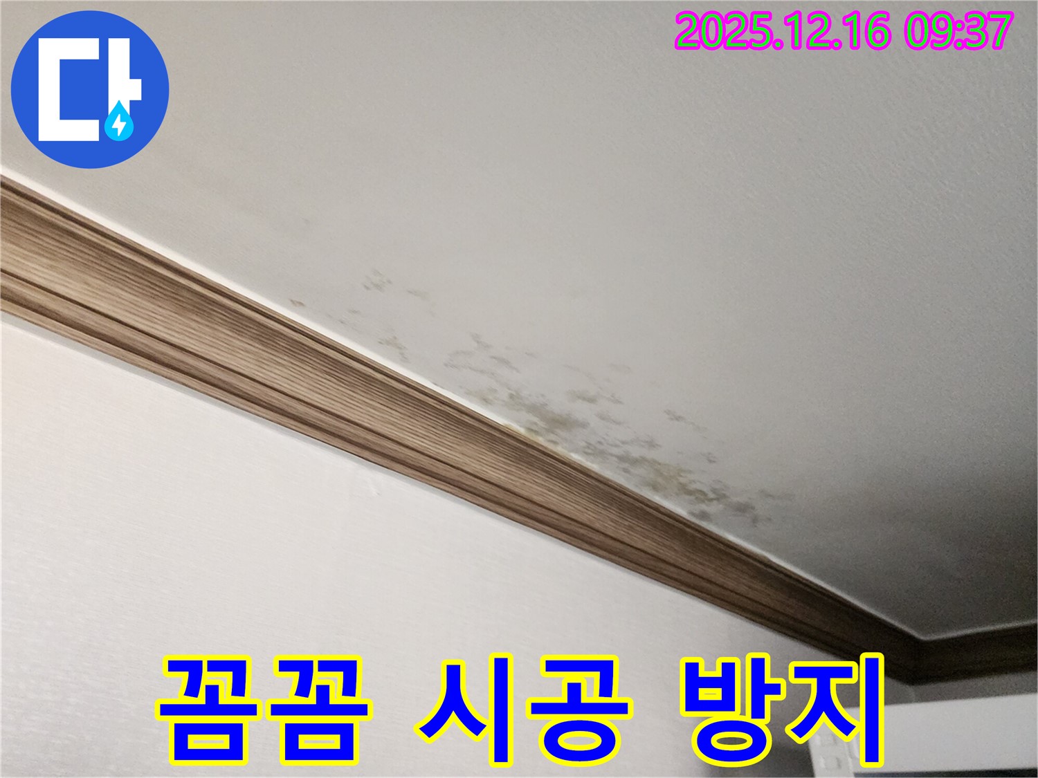 경기도 포천시 영북면 운천리 곰팡이 천장 - 꼼꼼한 시공으로 누수 재발 방지!