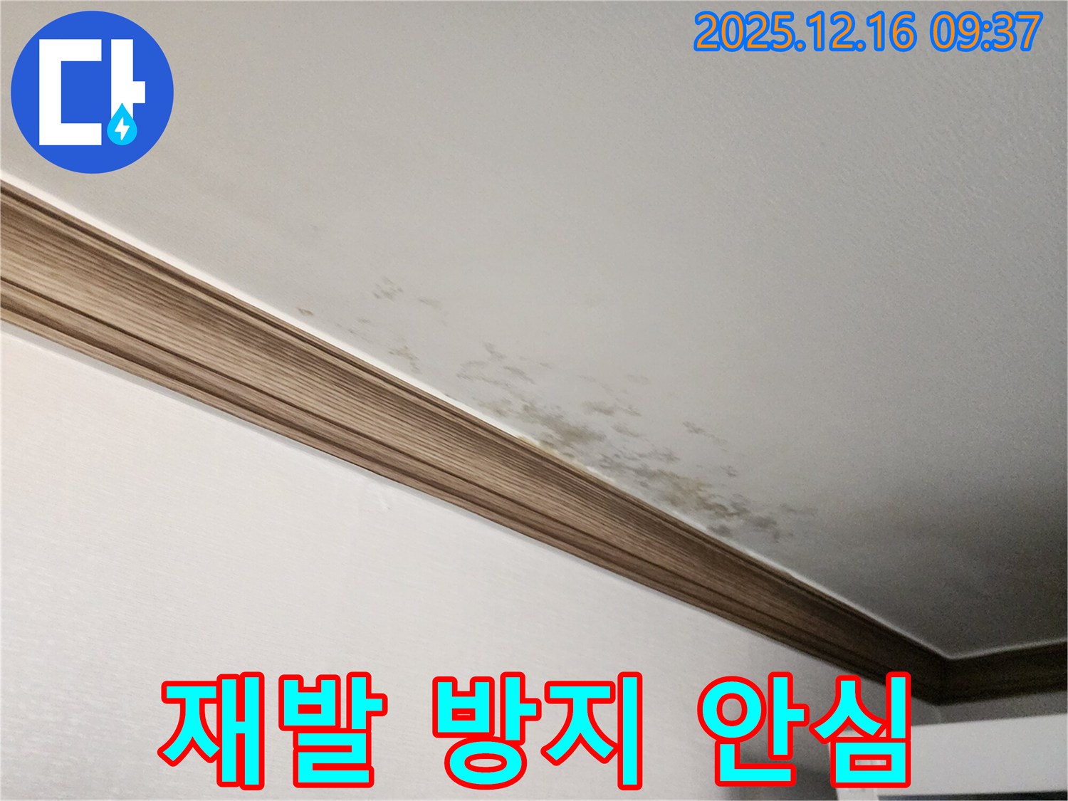 경기도 포천시 영북면 운천리 곰팡이 천장과 몰딩 - 확실한 재발 방지 시공으로 안심
