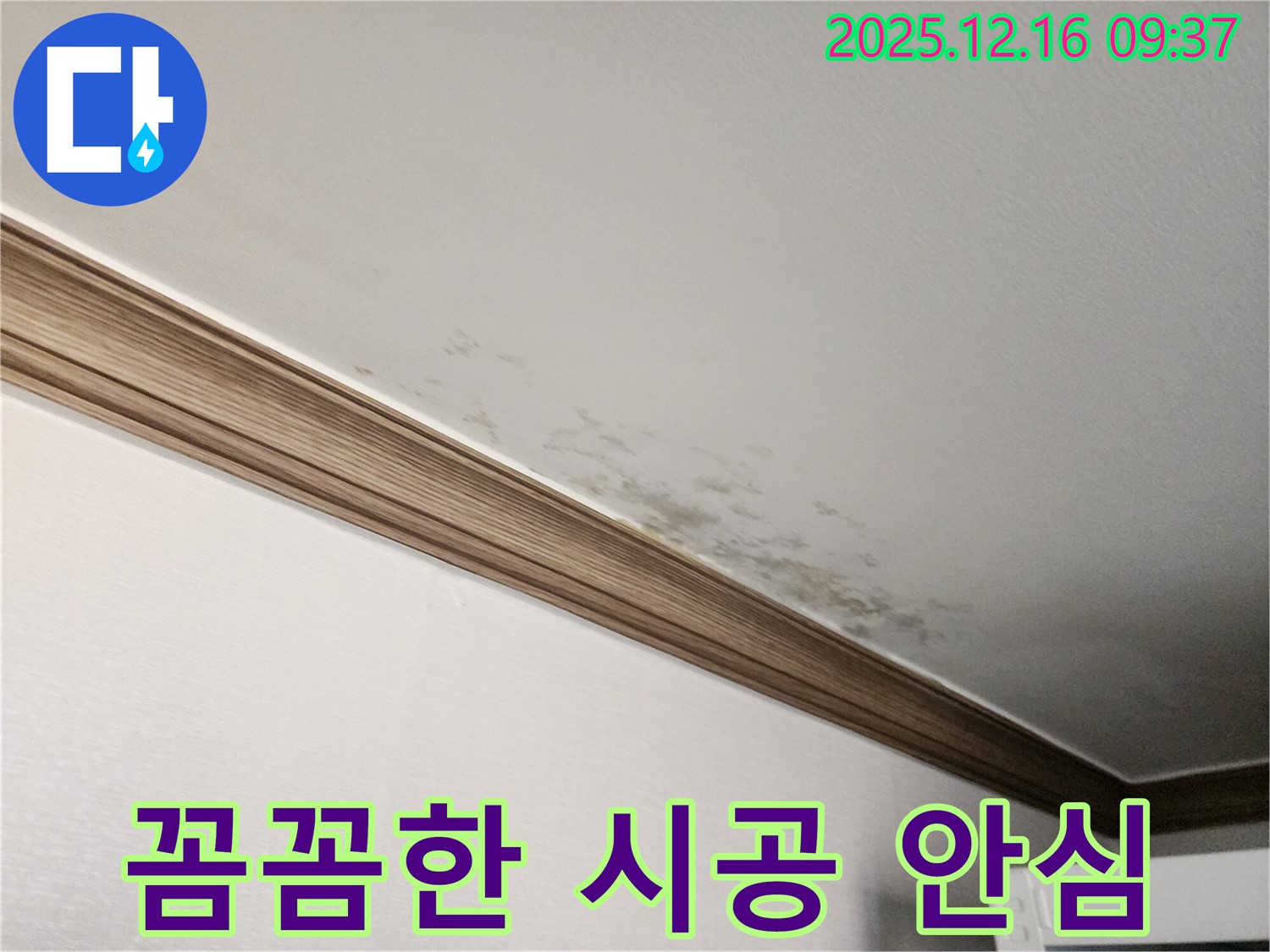 경기도 포천시 영북면 운천리 곰팡이 핀 천장 - 꼼꼼한 시공으로 안심하세요!