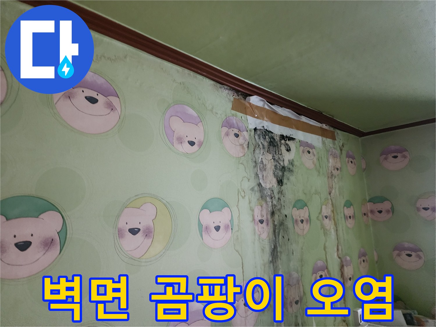 벽지 표면에 발생한 검은색 곰팡이와 습기 침투