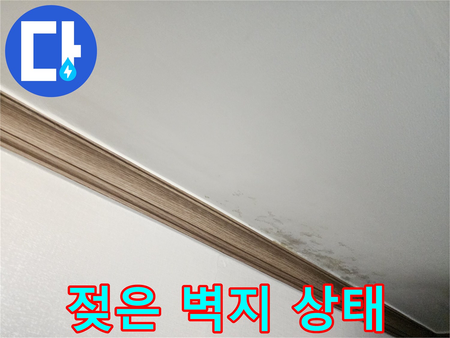 습기로 인해 변색되고 곰팡이가 발생한 천장 벽면 부위