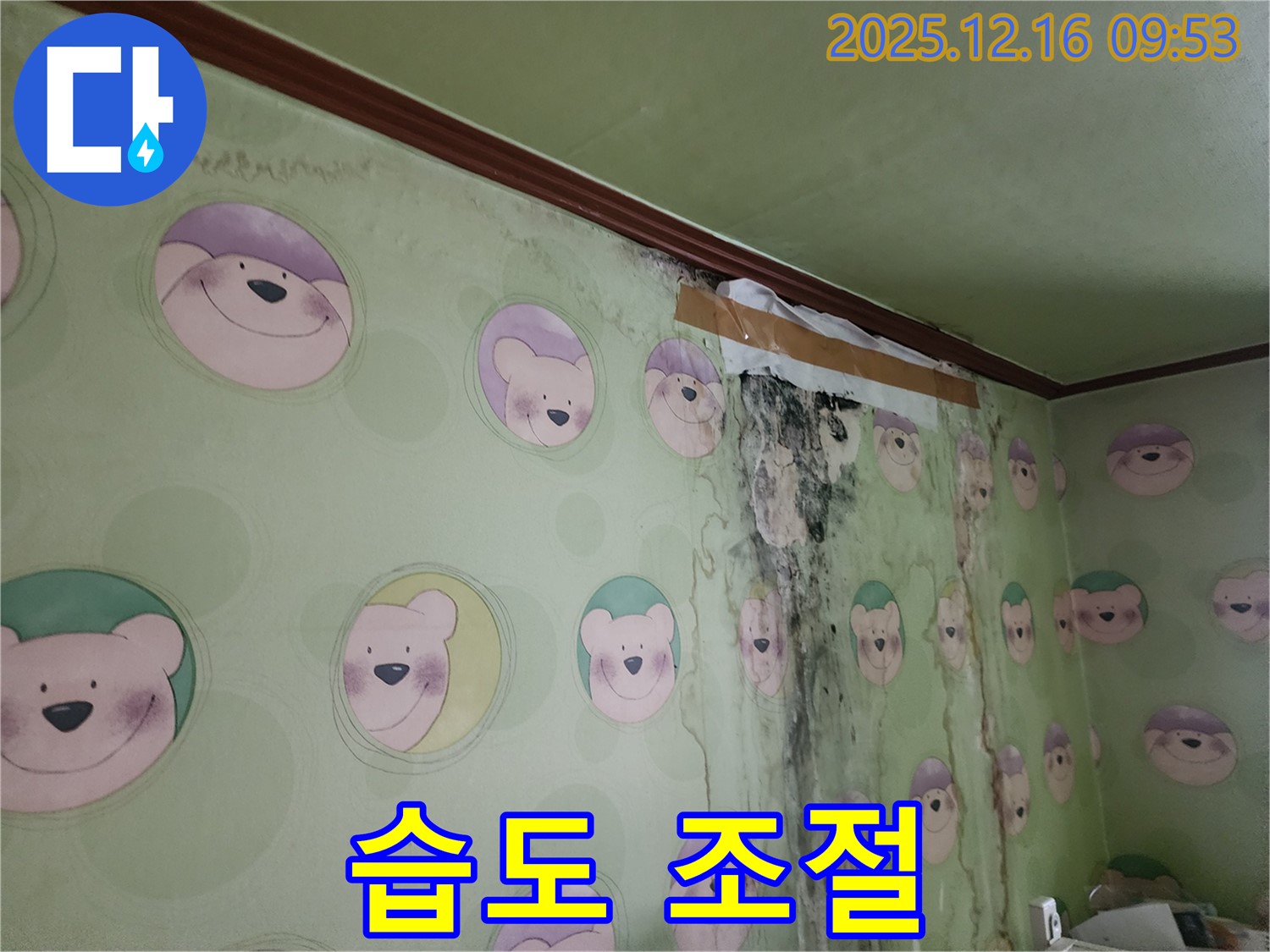 습도 조절 시스템 설치 - 곰팡이 재발을 막고 쾌적한 환경을 유지합니다.
