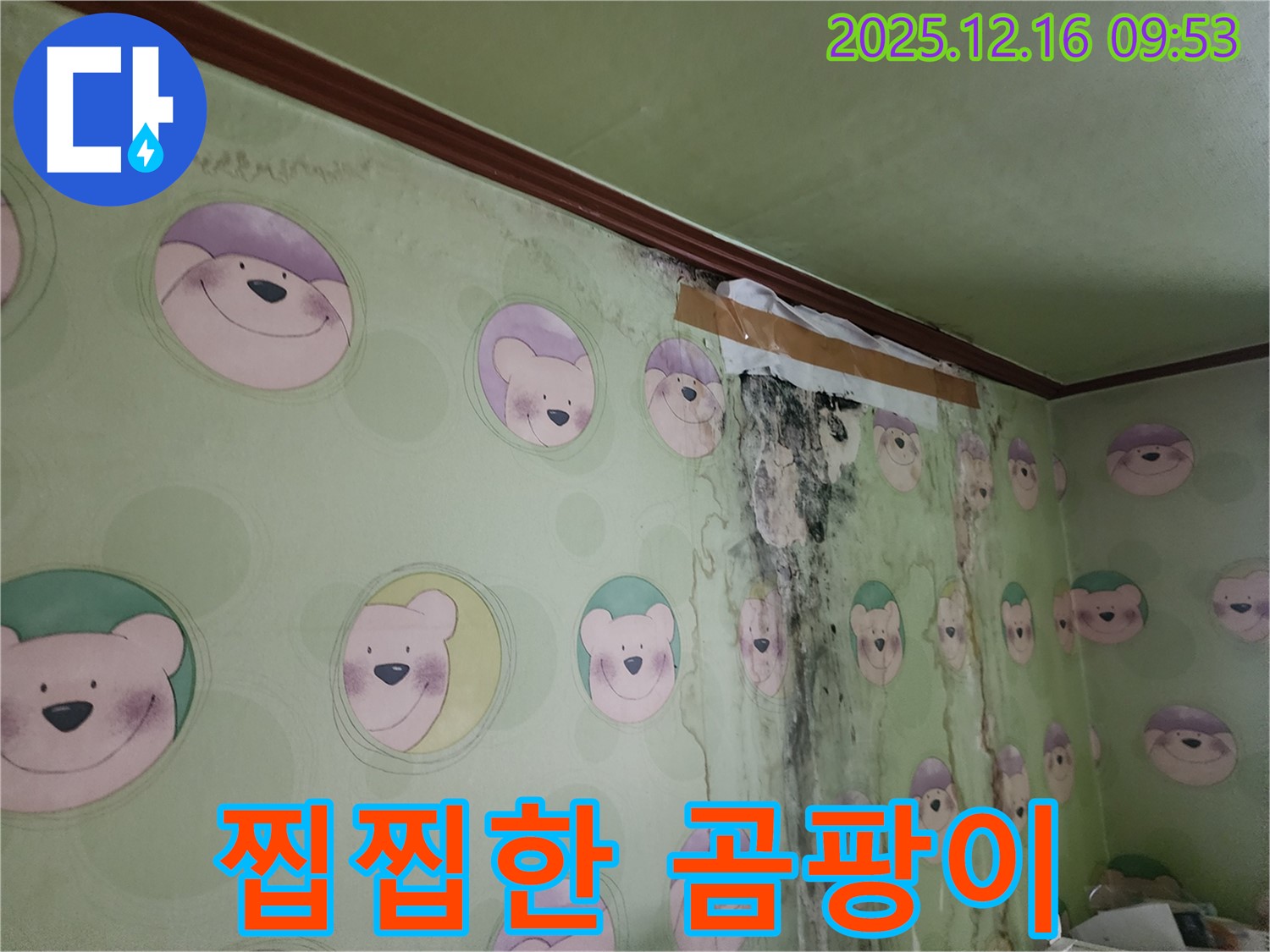 아이 방 곰팡이 때문에 찝찝한 기분으로 생활하는 모습 - 곰팡이 제거와 함께 산뜻하고 쾌적한 공간을 만들어 드립니다.