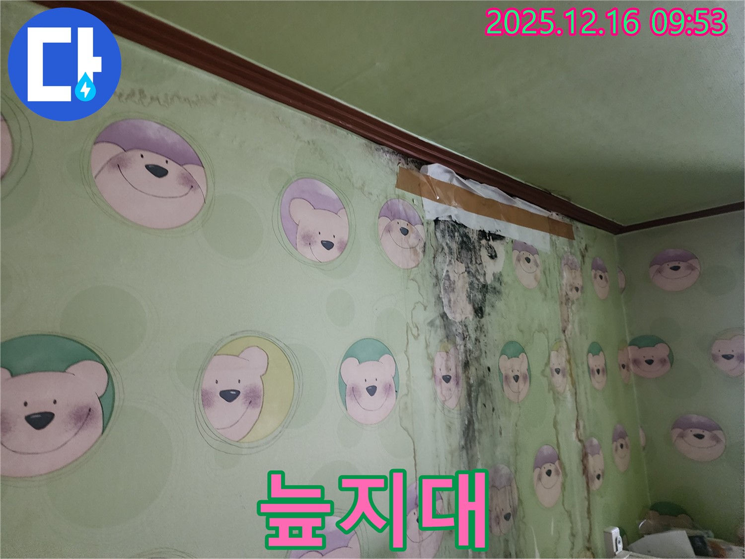 아이 방 벽이 곰팡이로 뒤덮여 곰팡이 늪지대처럼 보이는 모습 - 곰팡이 제거와 함께 쾌적하고 건강한 환경을 만들어 주세요.