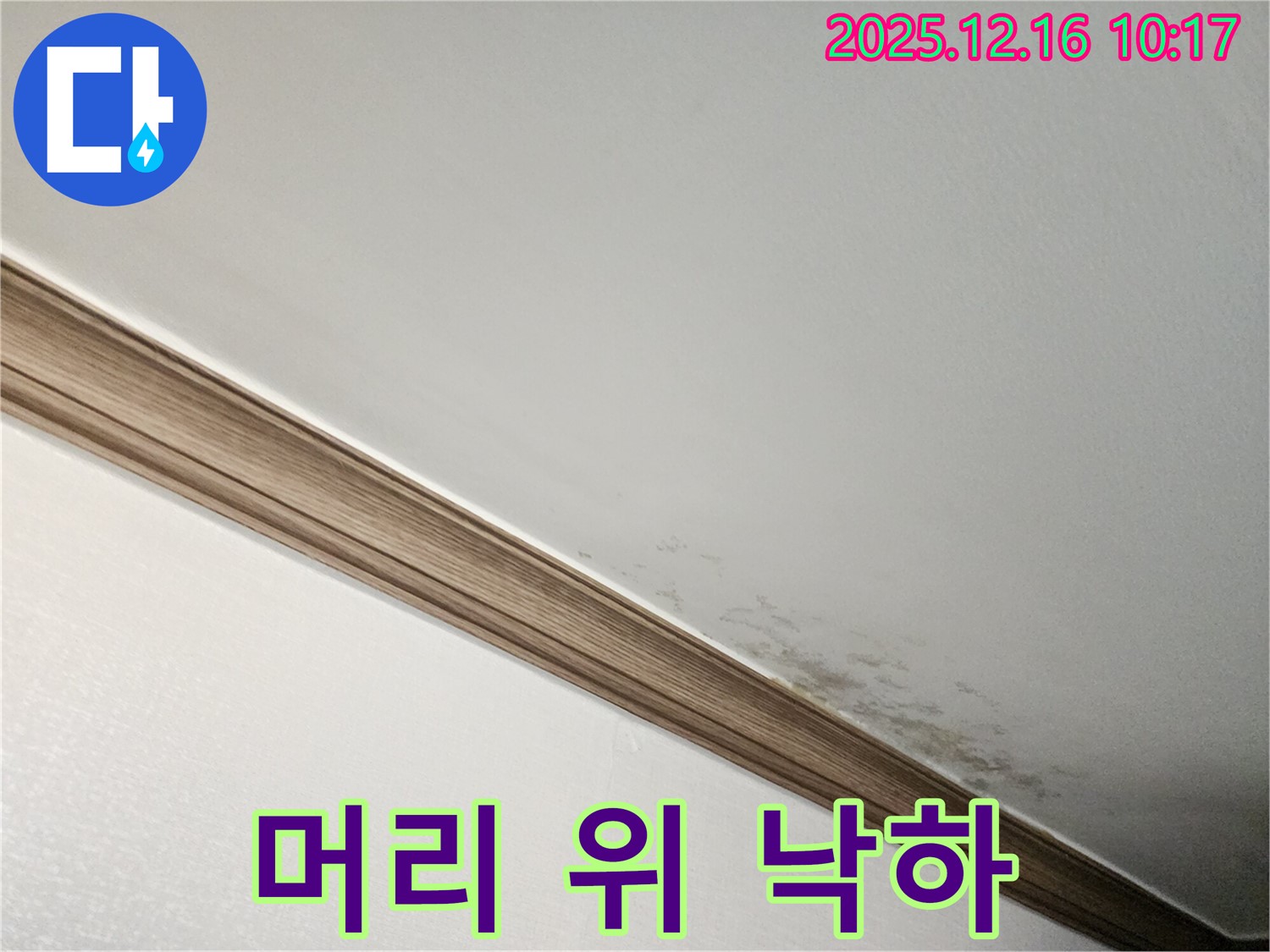 영북면 운천리 곰팡이 천장 - 곰팡이, 머리 위로 떨어진다?!