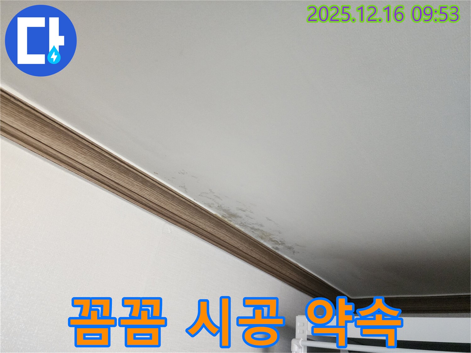 운천리 누수 - 곰팡이, 꼼꼼한 점검과 완벽 시공으로 다시는 곰팡이 걱정 없이! - 믿고 맡겨주세요.