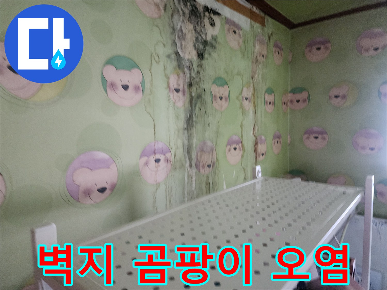 캐릭터-벽지가-젖어-있고-곰팡이가-핀-장면