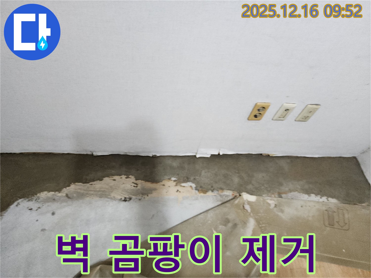 포천 누수 - 벽 하단 젖음, 벽지 곰팡이, 누수 해결과 곰팡이 제거를 한번에!