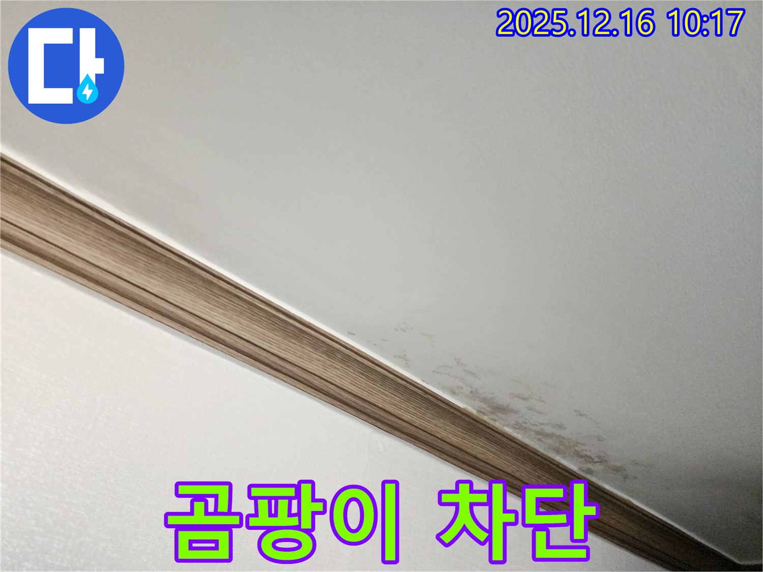 포천 영북면 곰팡이 핀 천장 차단 - 누수 전문가의 완벽한 곰팡이 차단 시공