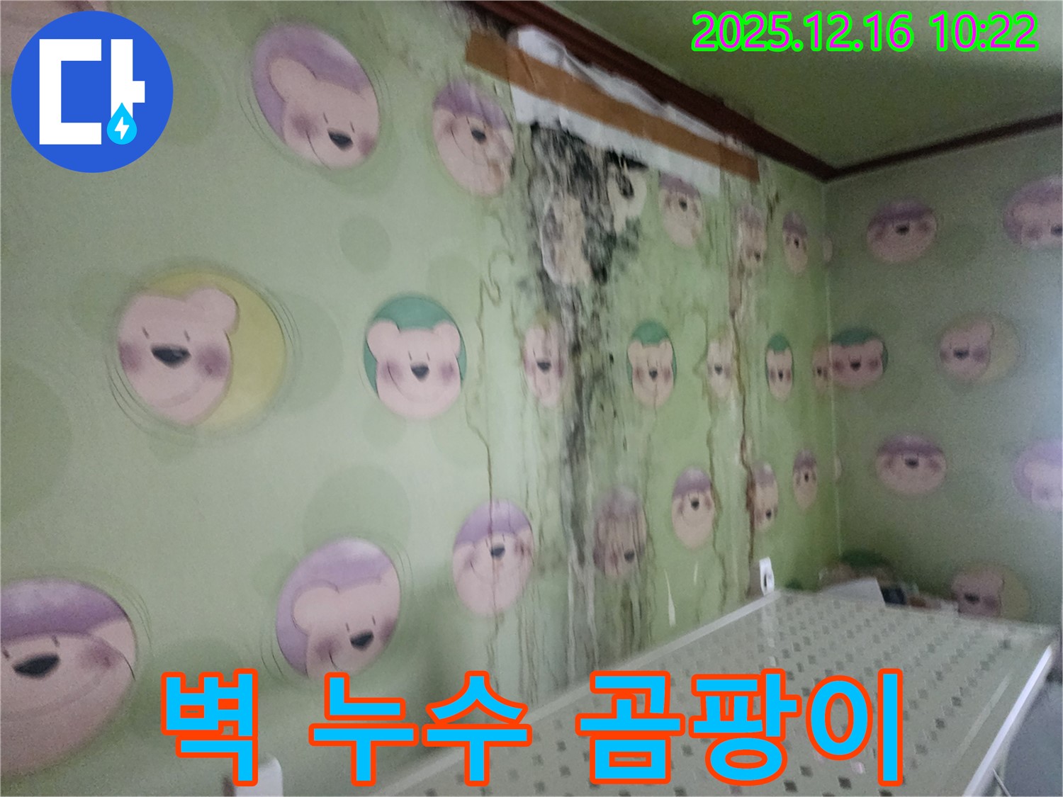 포천시 영북면 운천리 주택 벽면의 누수와 곰팡이 문제 - 전문 업체의 고민 해결 서비스