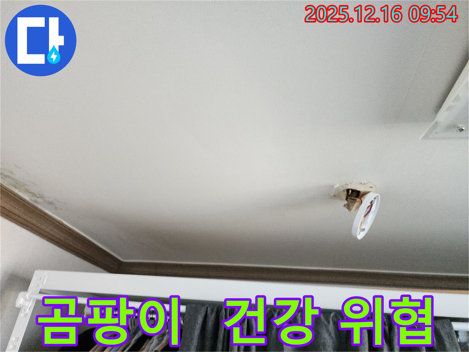 포천시 영북면 운천리 - 천장 누수로 인한 조명 주변 곰팡이, 건강 위협