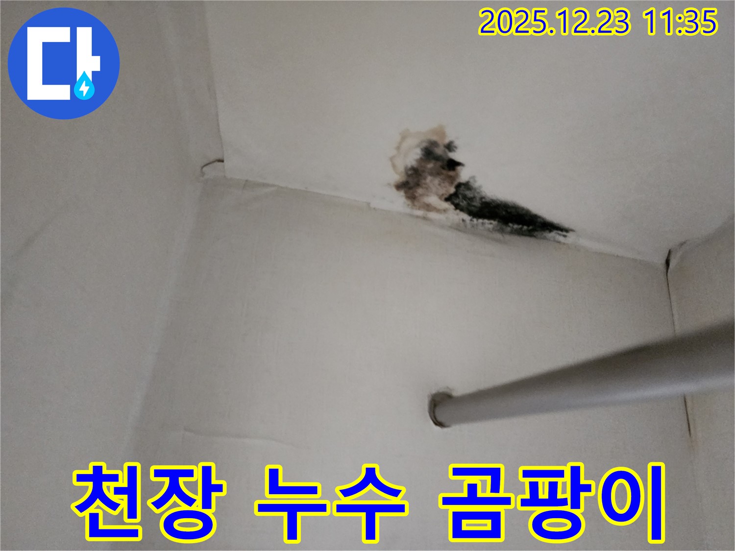 양주시 고암동 주원마을 천장 누수 - 곰팡이 발생으로 인한 건강 문제와 건물 손상 위험이 있습니다.