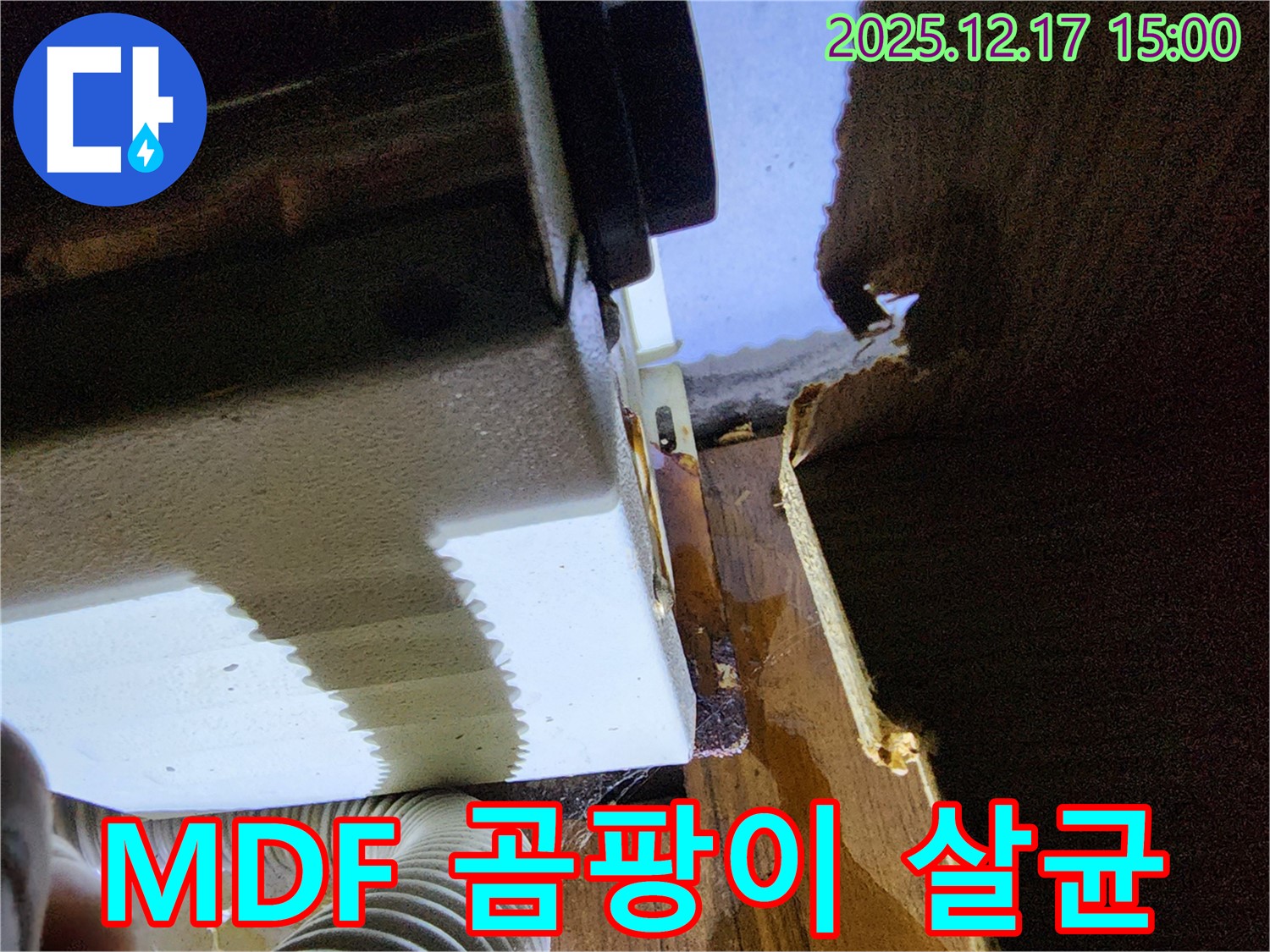 MDF 곰팡이 제거 및 완벽 살균으로 싱크대 누수 문제 해결 - 대회리 누수 전문 업체