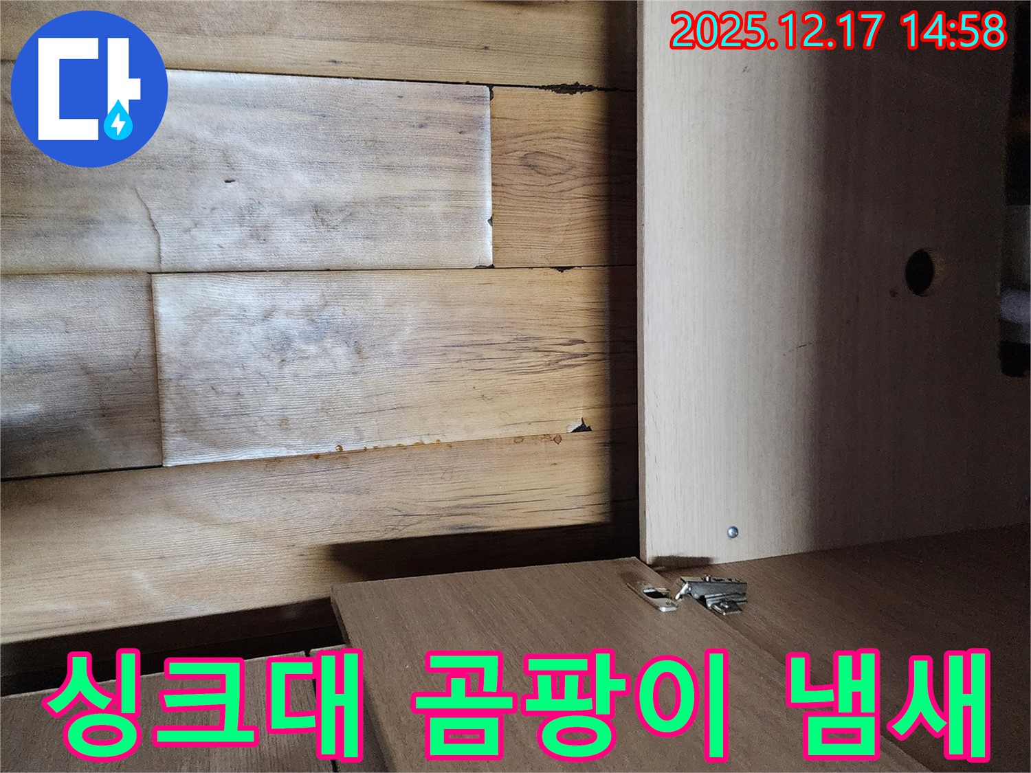 싱크대 하부 곰팡이 냄새 - 누수로 인해 습해진 싱크대 하부에서 나는 곰팡이 냄새