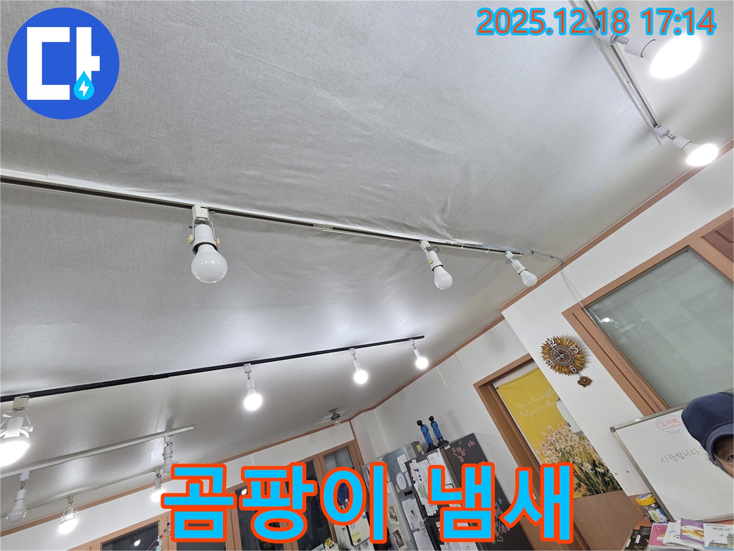 시흥 신천동 누수 - 천장 누수, 곰팡이 냄새와 함께 시작 - 건강 위협