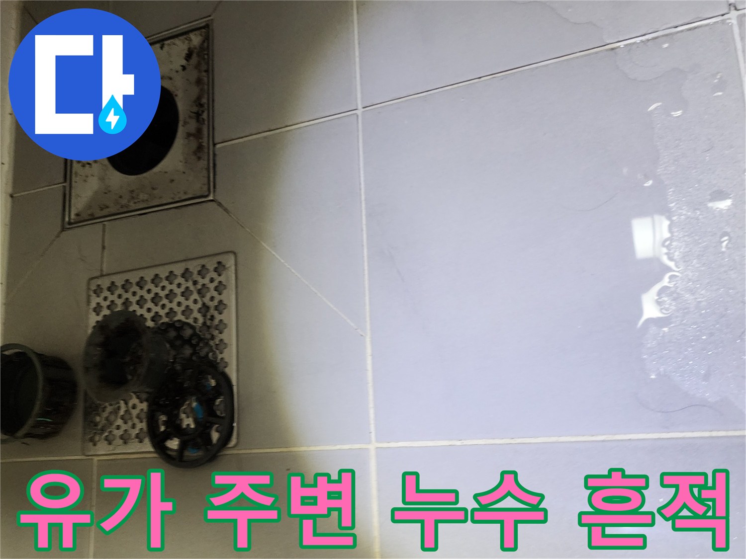 포천 영북면-배수구 유가 및 타일 틈새 점검 사진