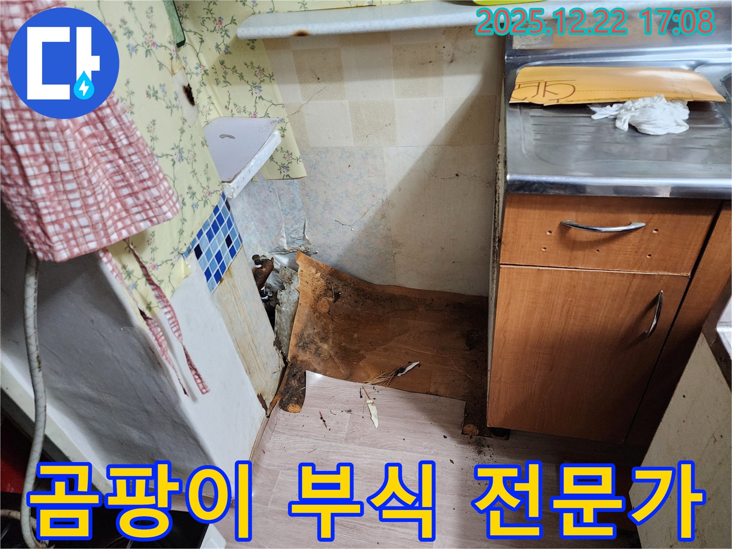 동두천 생연2동 누수 - 곰팡이와 부식을 동반한 누수 - 누수 전문가의 확실한 기술력으로 완벽하게 해결해 드립니다!