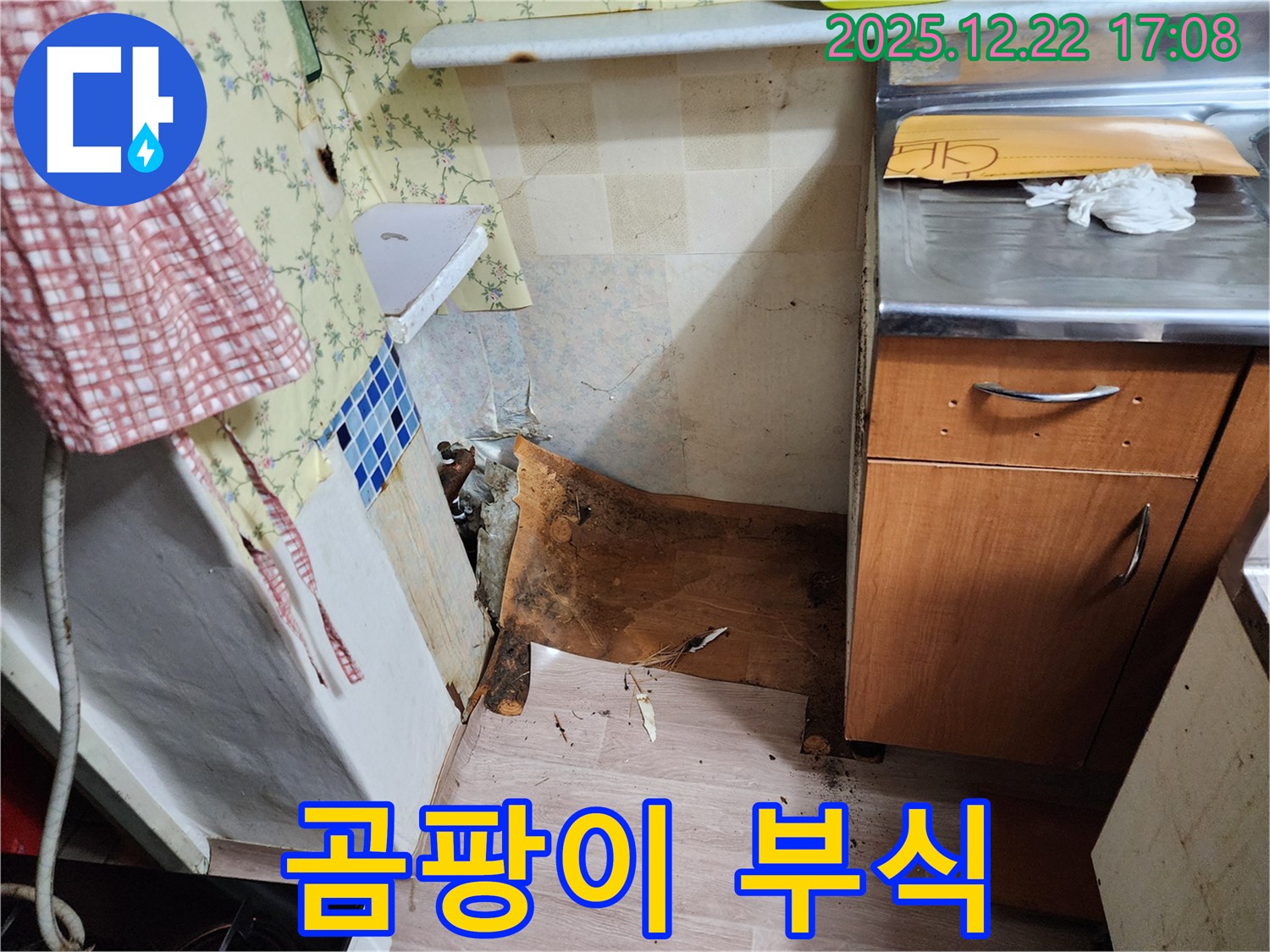 동두천 생연2동 누수 - 싱크대 밑 곰팡이와 부식 - 신속한 해결로 피해를 최소화!