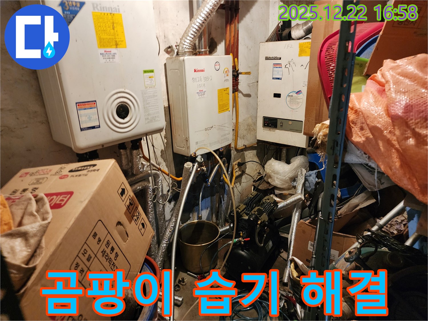 동두천 생연2동 - 보일러실 곰팡이 습기 해결, 쾌적한 공간으로 변신 전문가