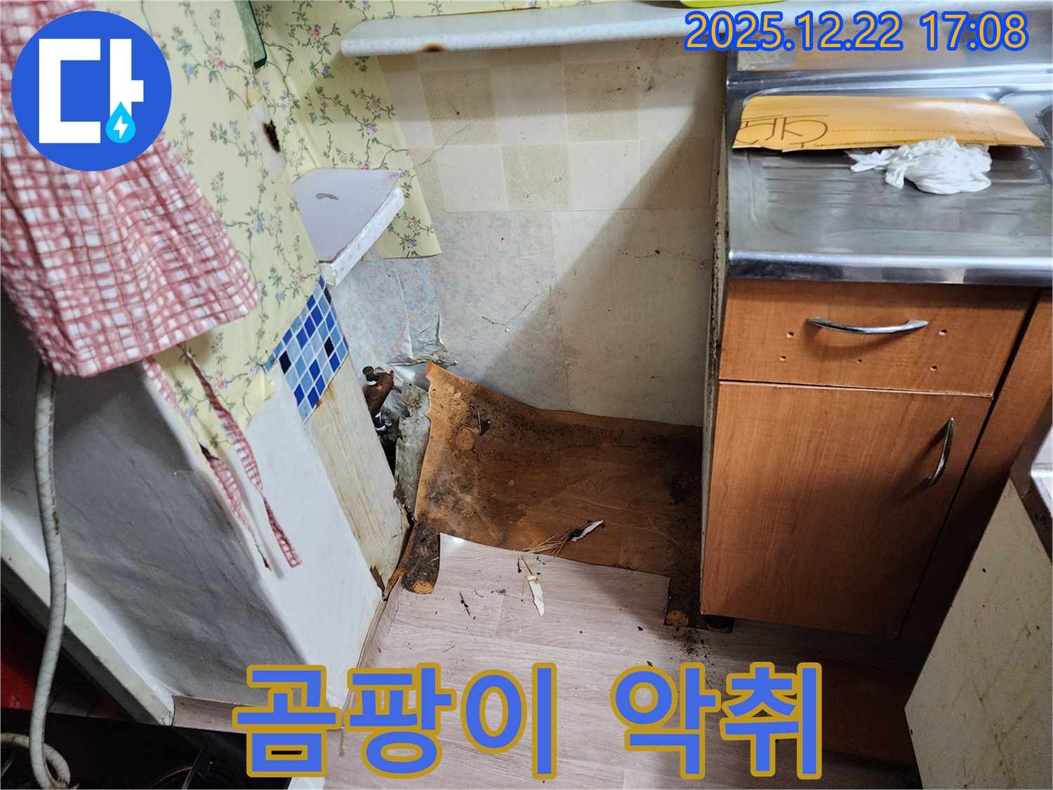 동두천 생연2동 주택 누수 - 곰팡이와 악취 발생 - 누수 원인 제거와 곰팡이, 악취 완벽하게 싹!