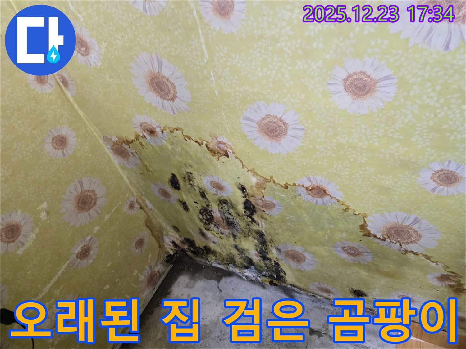 동두천 생연동 오래된 집 누수 - 검은 곰팡이 발생, 누수탐지 및 해결