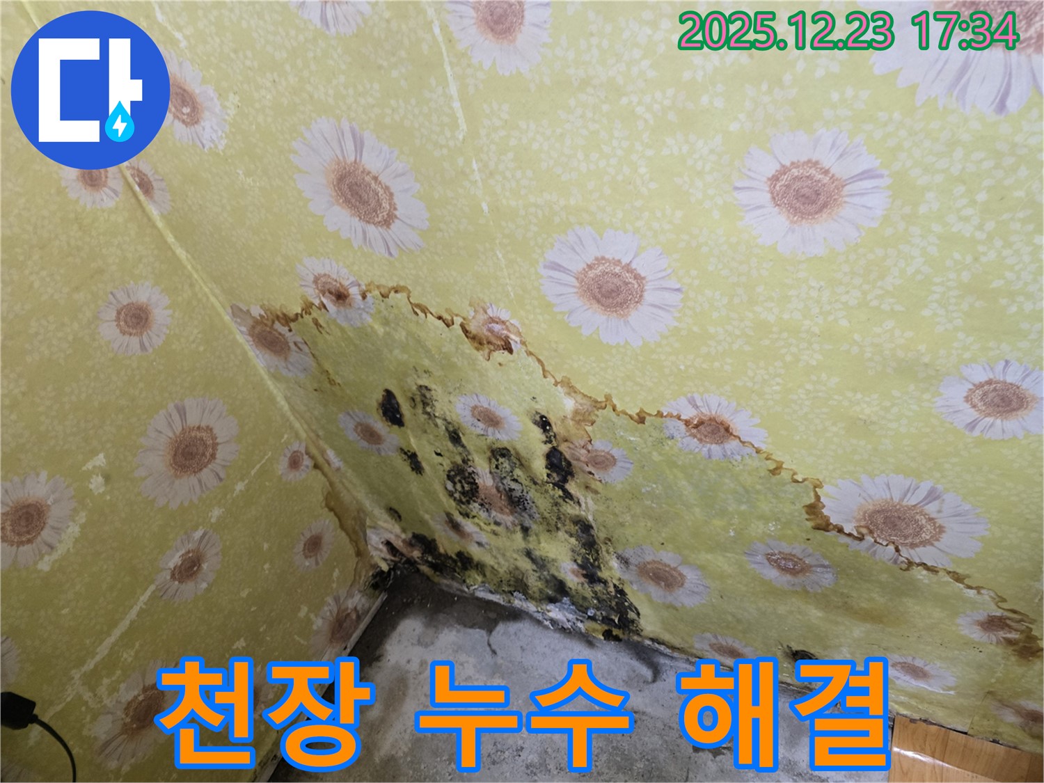 동두천 생연동 천장 누수 해결 - 곰팡이 문제까지 완벽하게