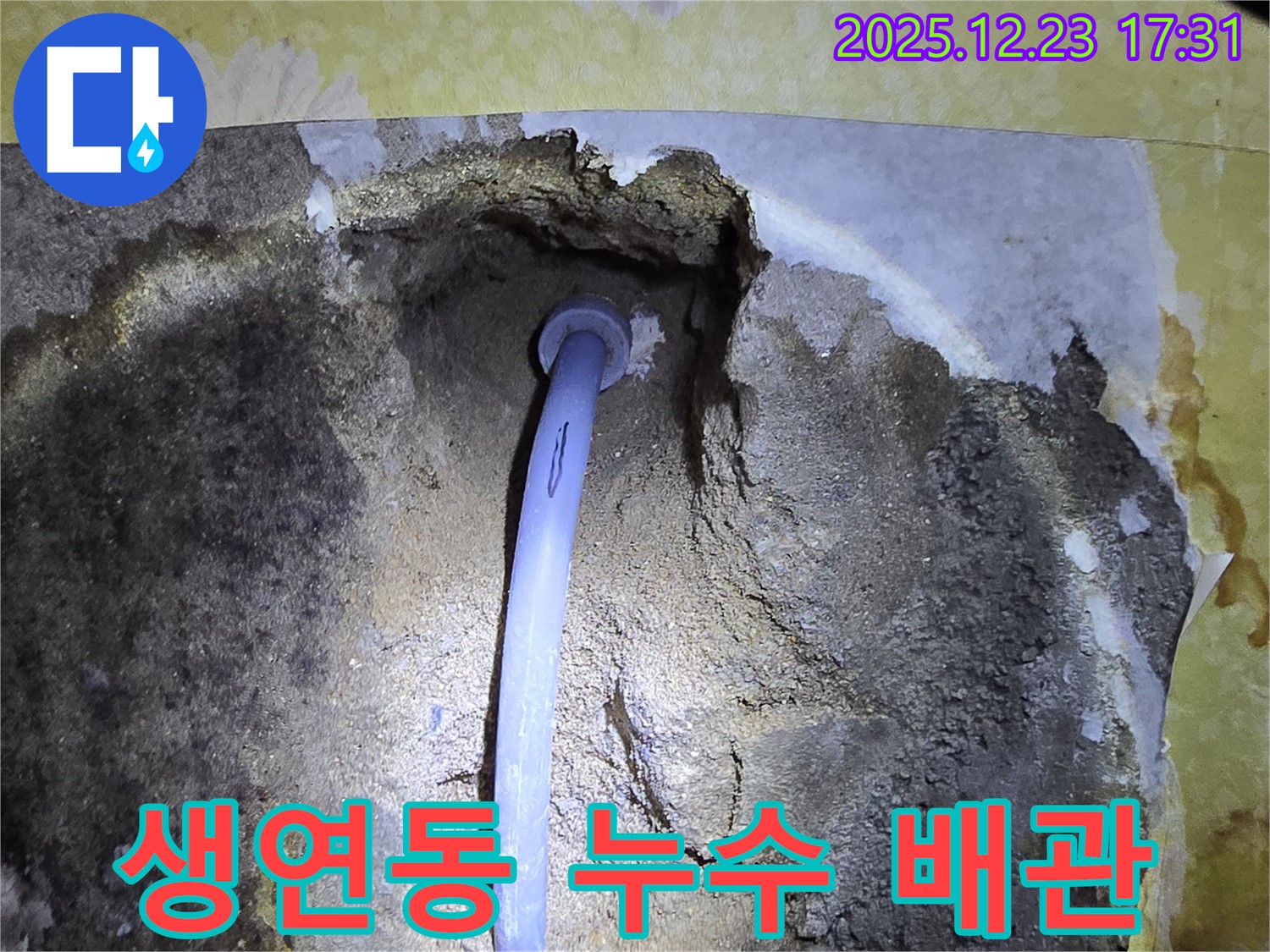 최첨단 장비를 사용하여 누수 지점을 정확하게 찾아내는 동두천 생연동 누수탐지 현장