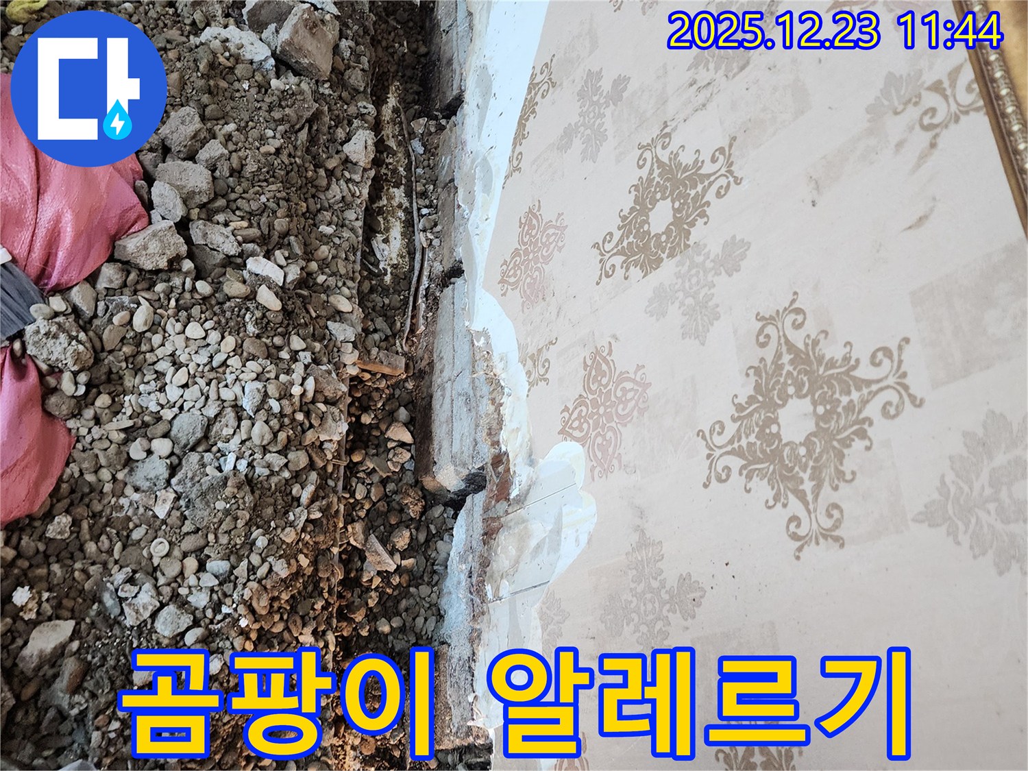 동두천 누수 - 천장 속 곰팡이, 알레르기 비염을 유발할 수 있습니다!