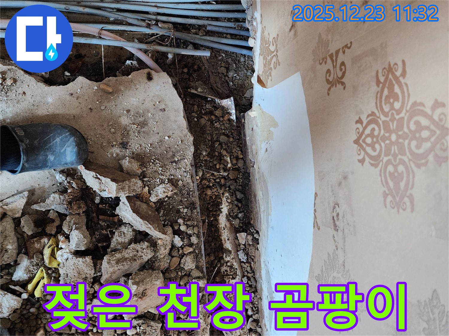 천장 누수 현장 - 젖은 천장에 곰팡이가 발생하여 건강을 위협하고 있습니다.